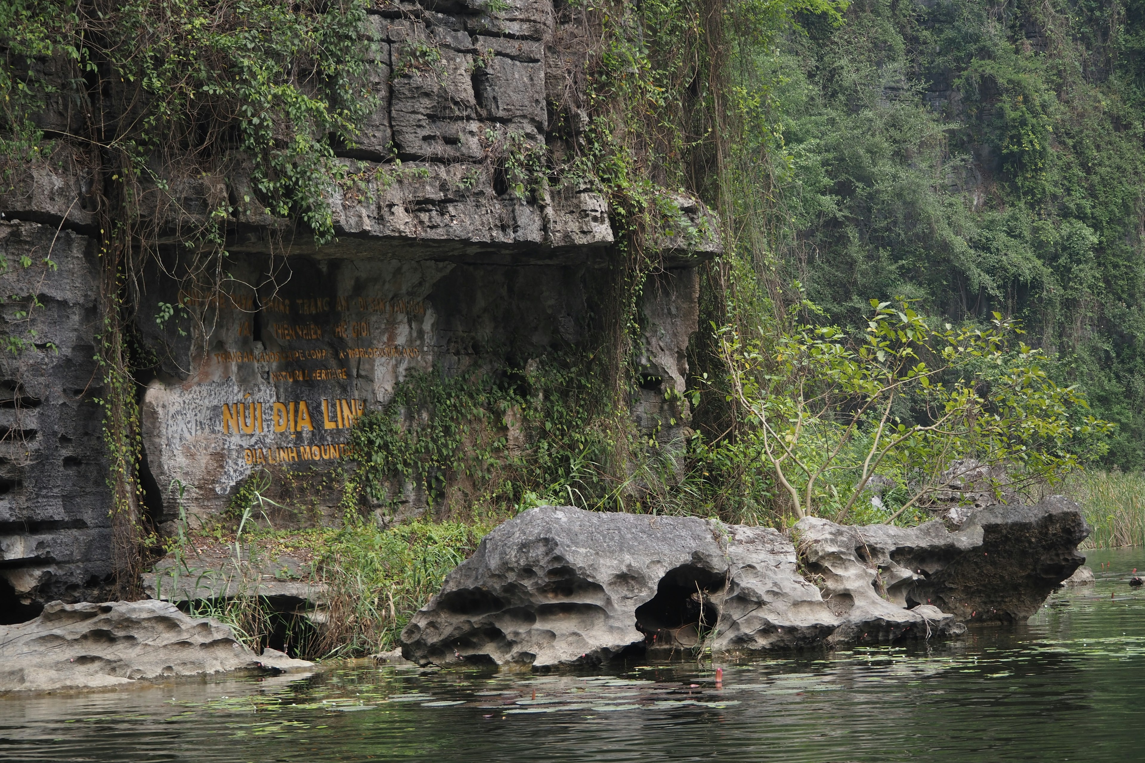 Vue pittoresque d'une falaise rocheuse recouverte de verdure au bord de l'eau calme