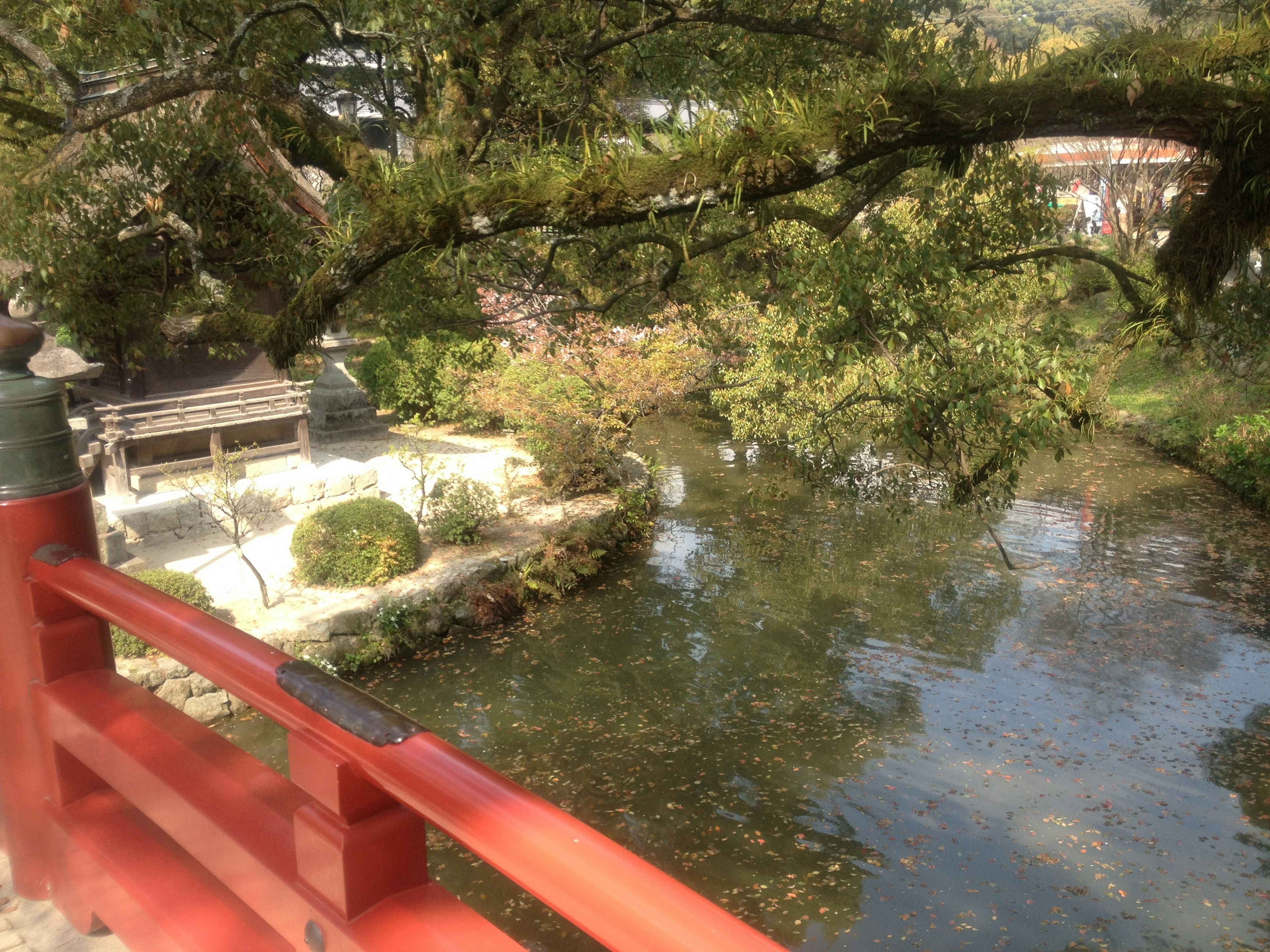 View from a red bridge overlooking a serene river and beautiful garden