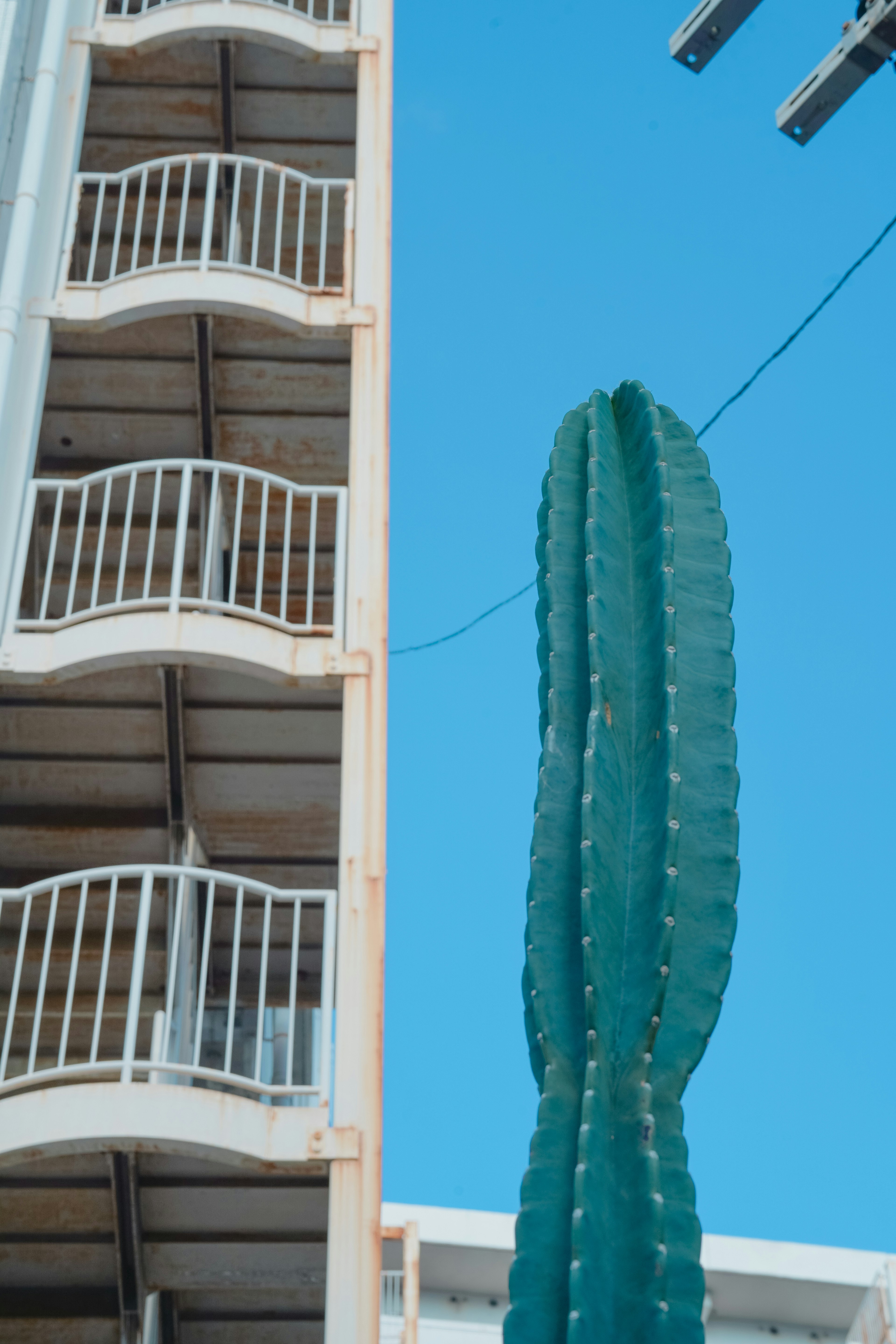 青空の下にそびえる大きなサボテンと建物のバルコニー