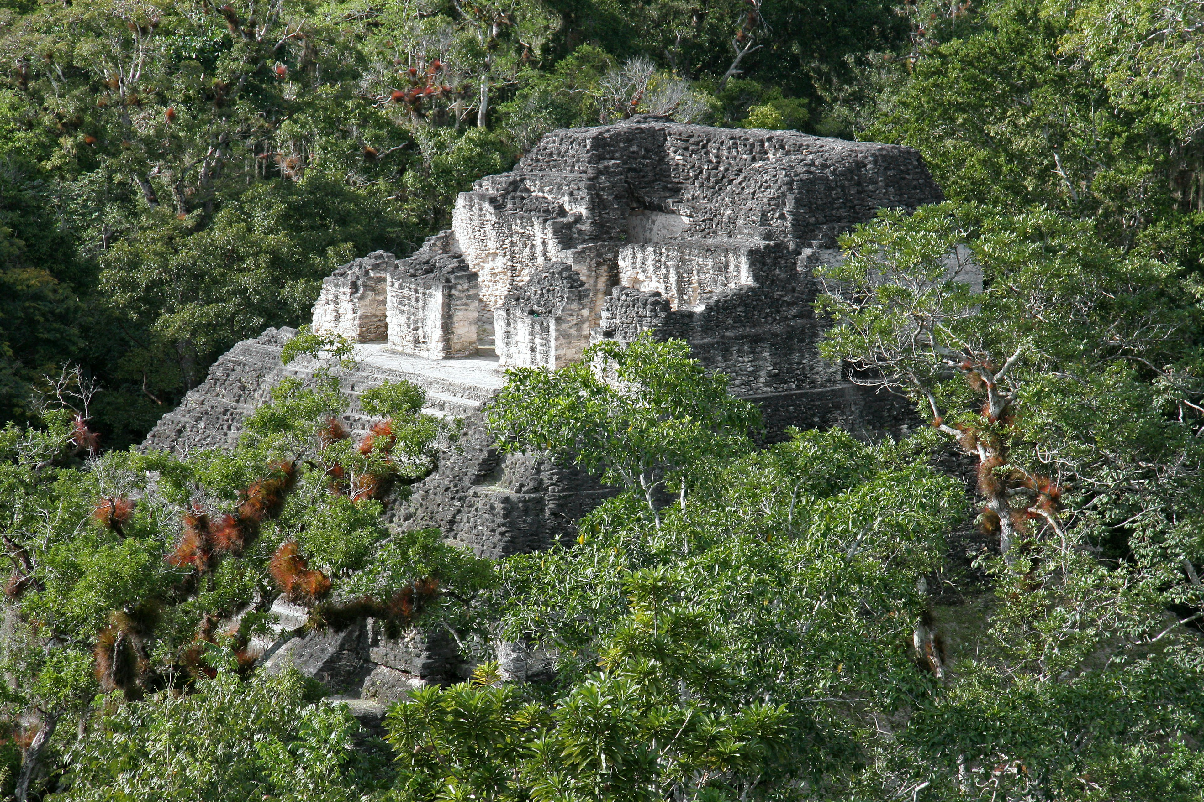 Rovine antiche nascoste in una giungla lussureggiante