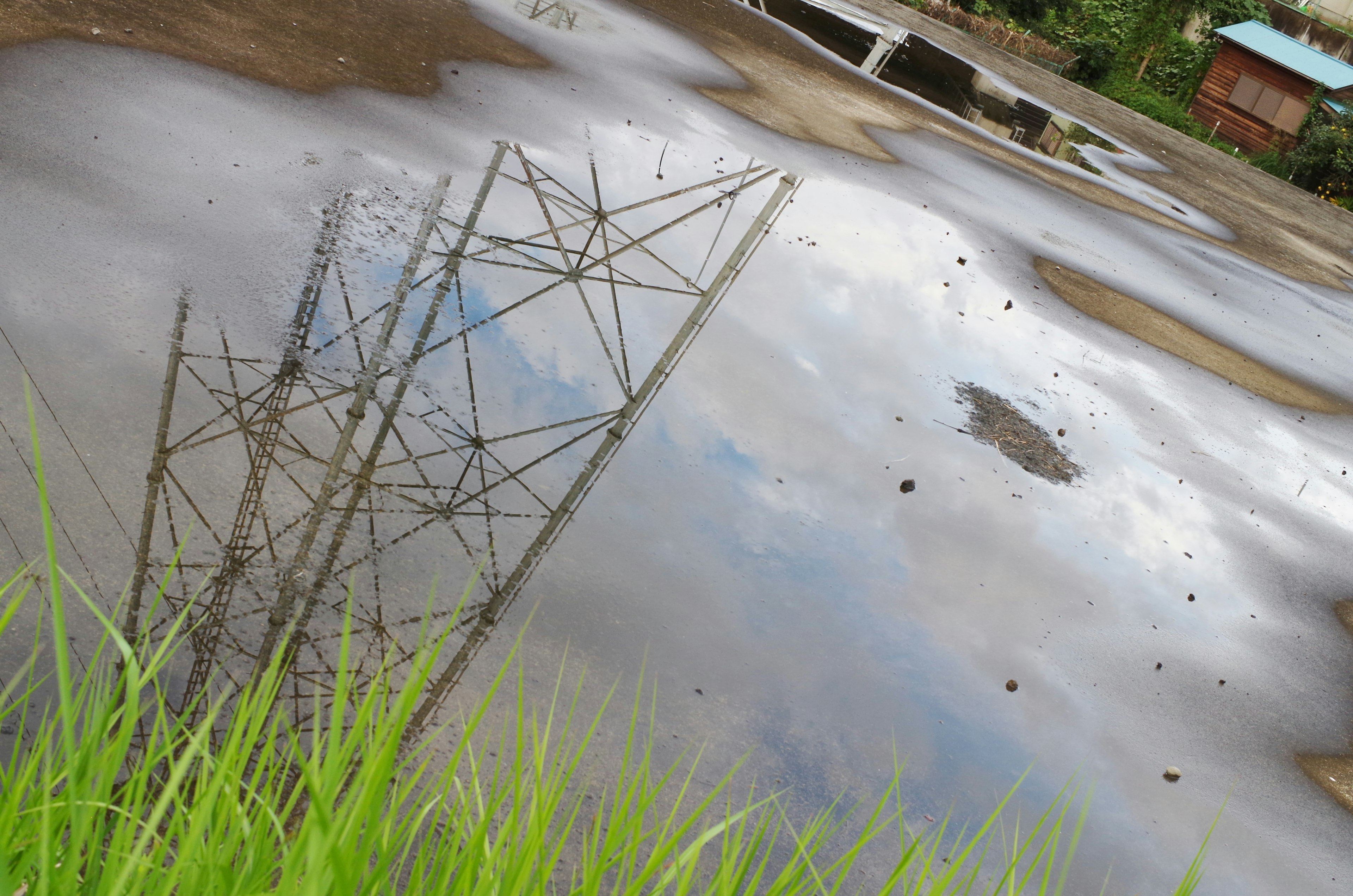 Reflexion einer Stromleitung in einer Pfütze mit Gras