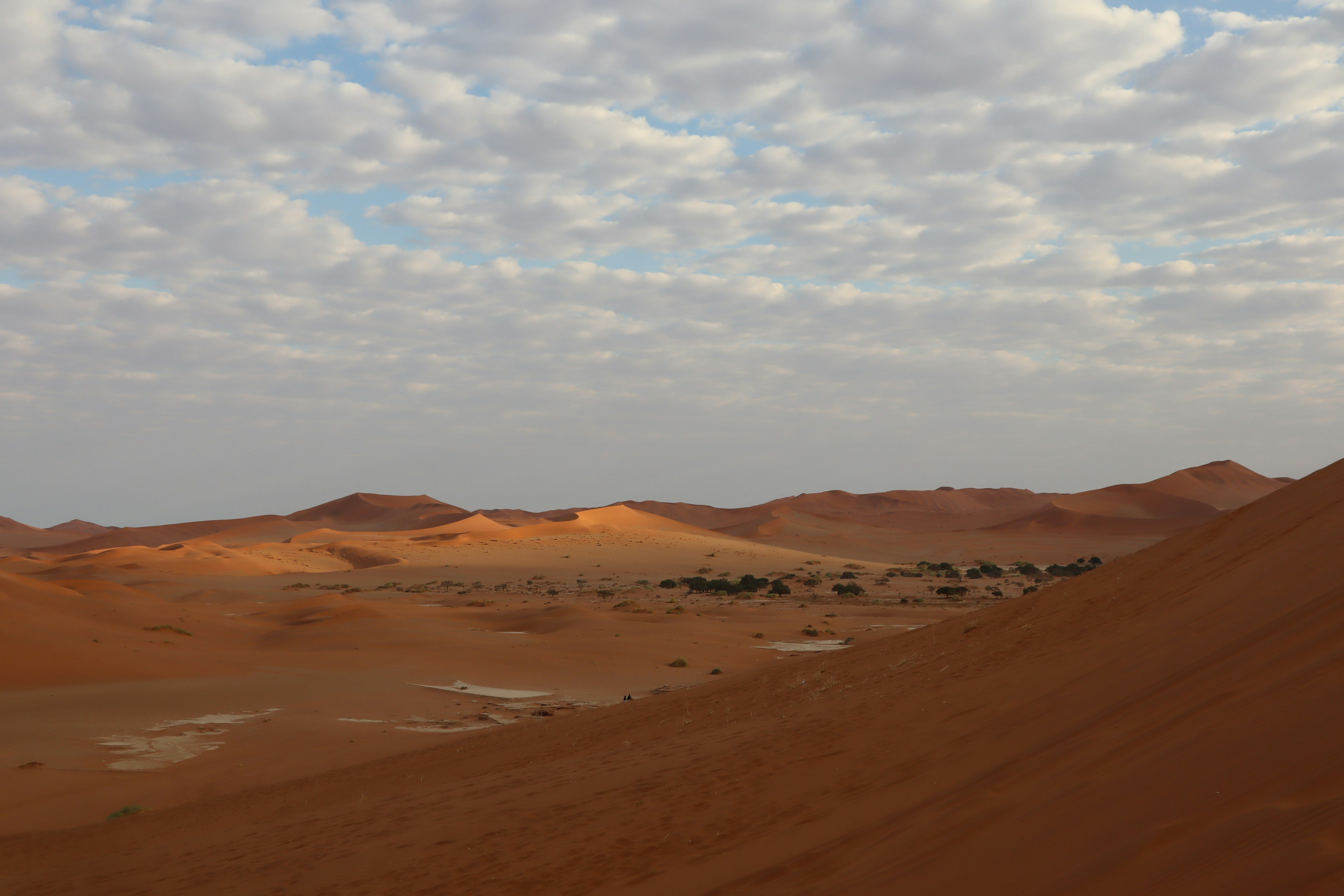 Ausgedehnte Sanddünen mit bewölktem Himmel