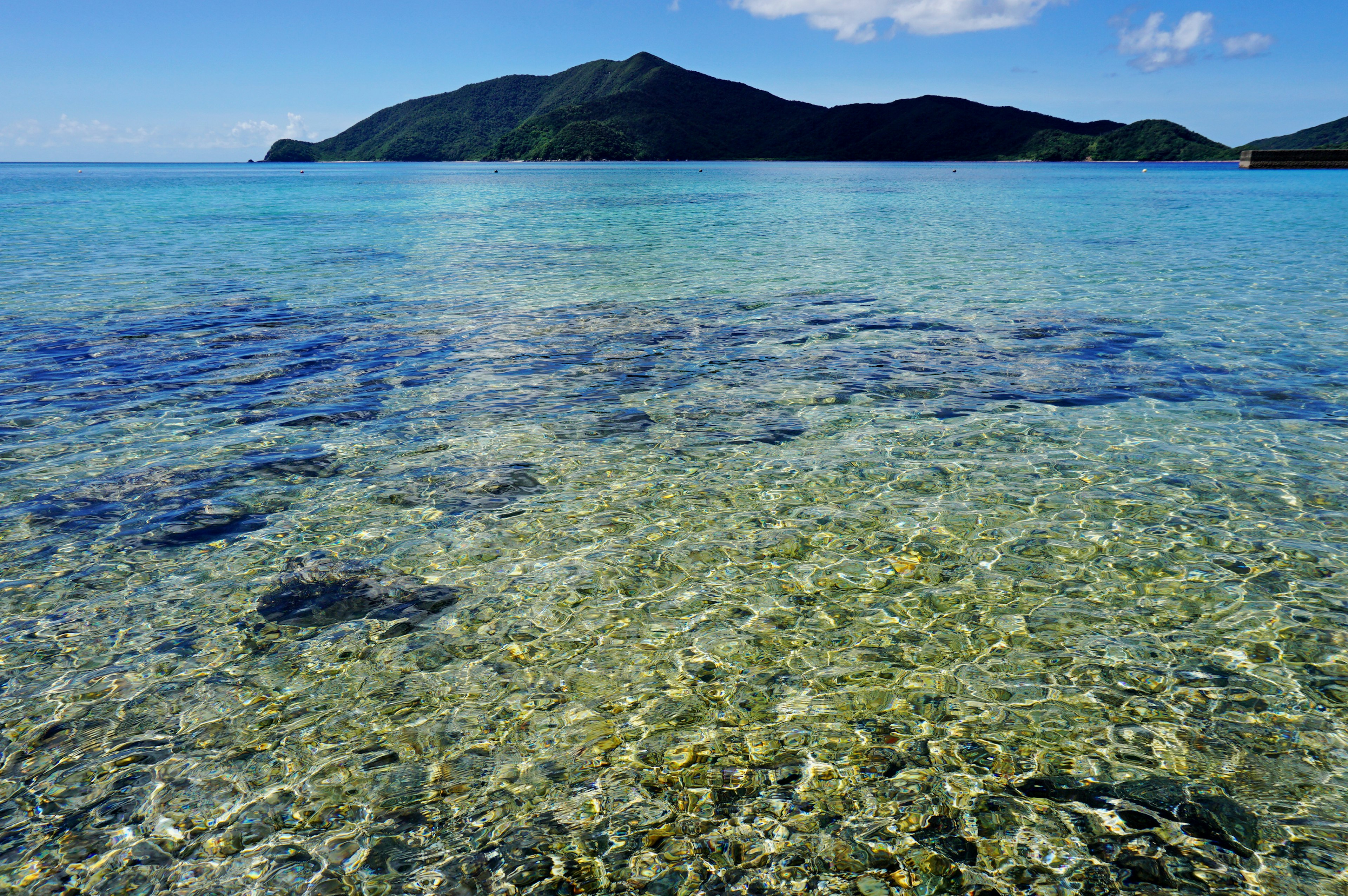 Acqua turchese trasparente che rivela un fondale ciottoloso con colline verdi in lontananza