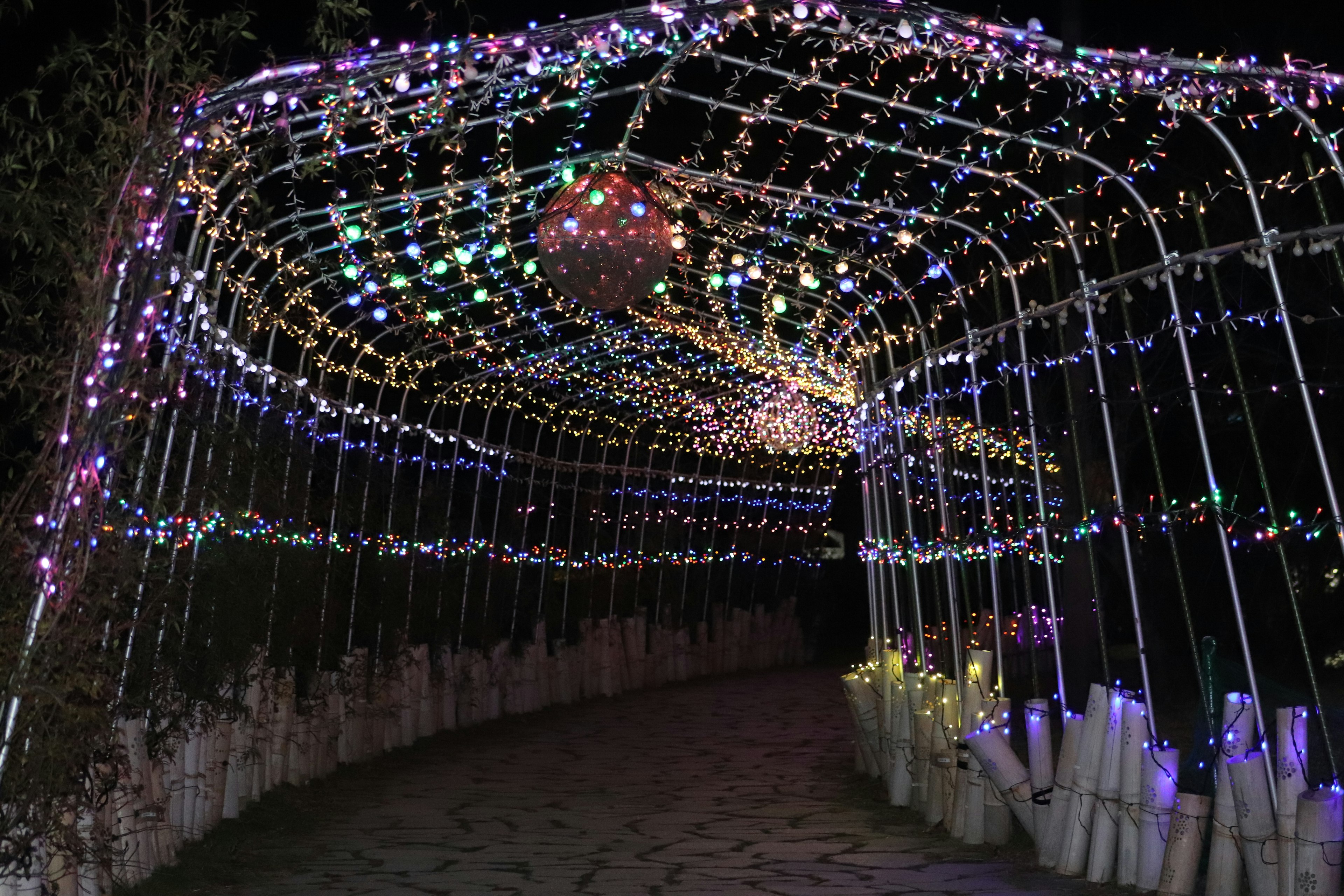 Colorful LED lights illuminating a nighttime tunnel