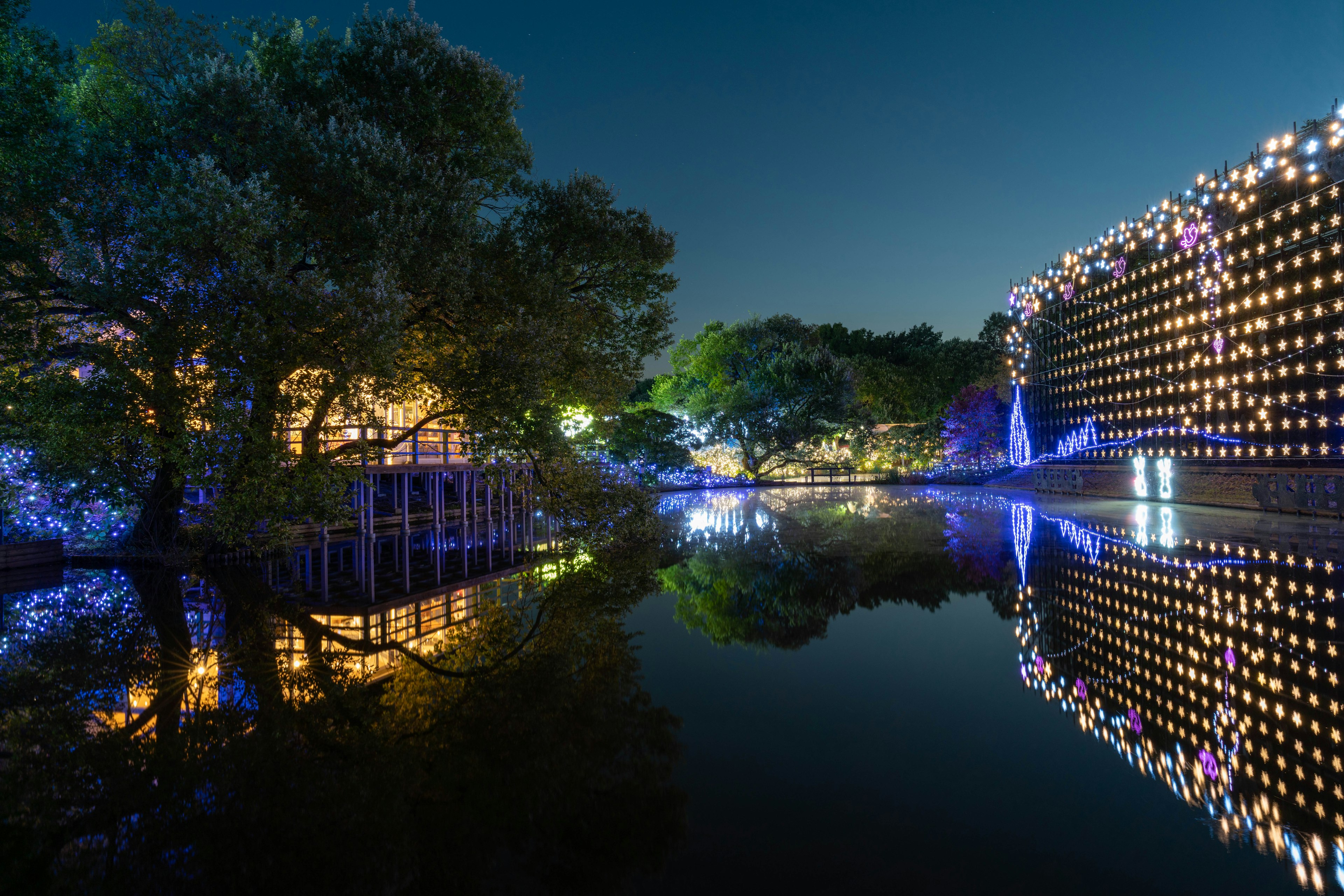 Night scene with blue lights and green trees reflected in the water