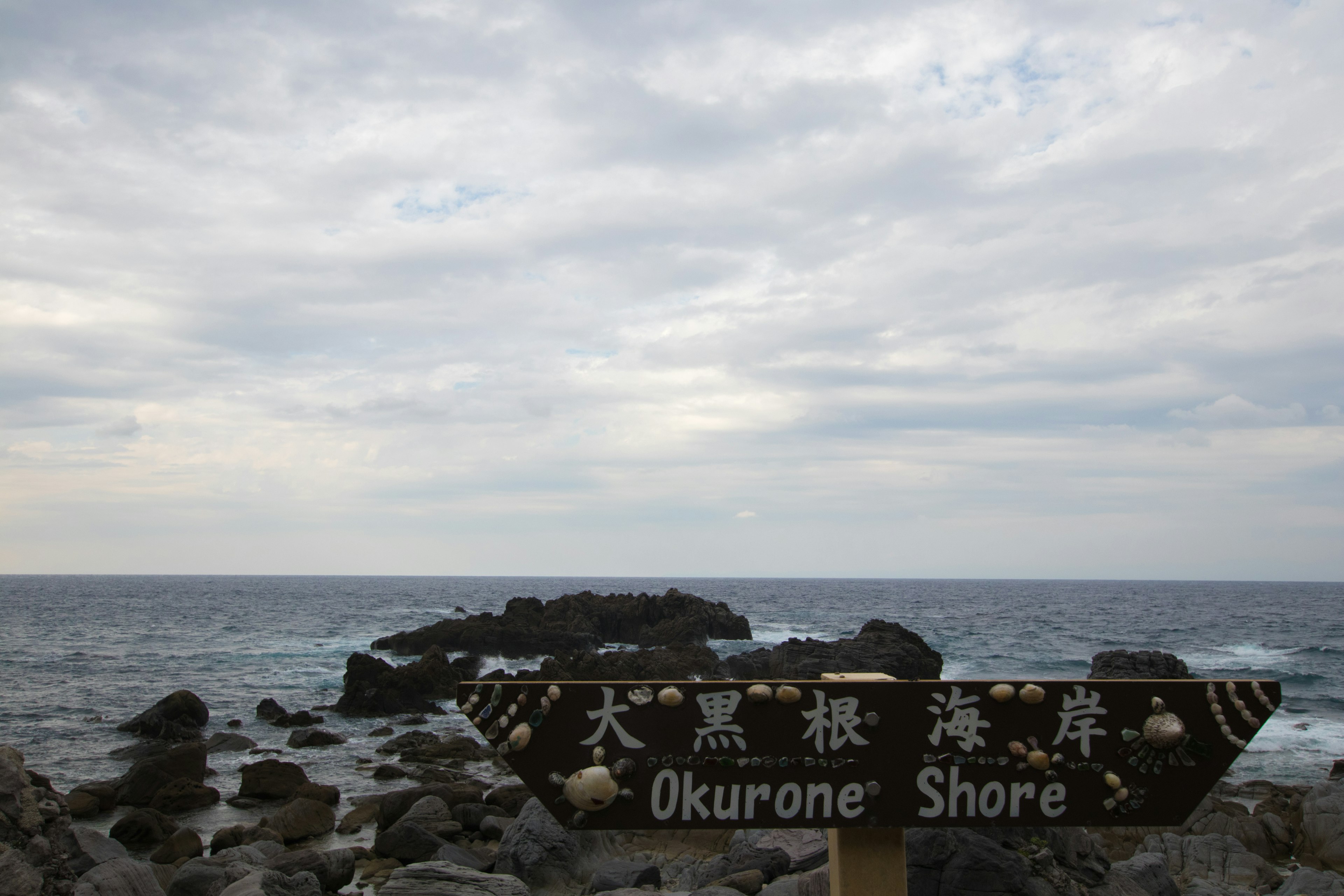 大きな岩と曇り空が広がる大久根海岸の風景