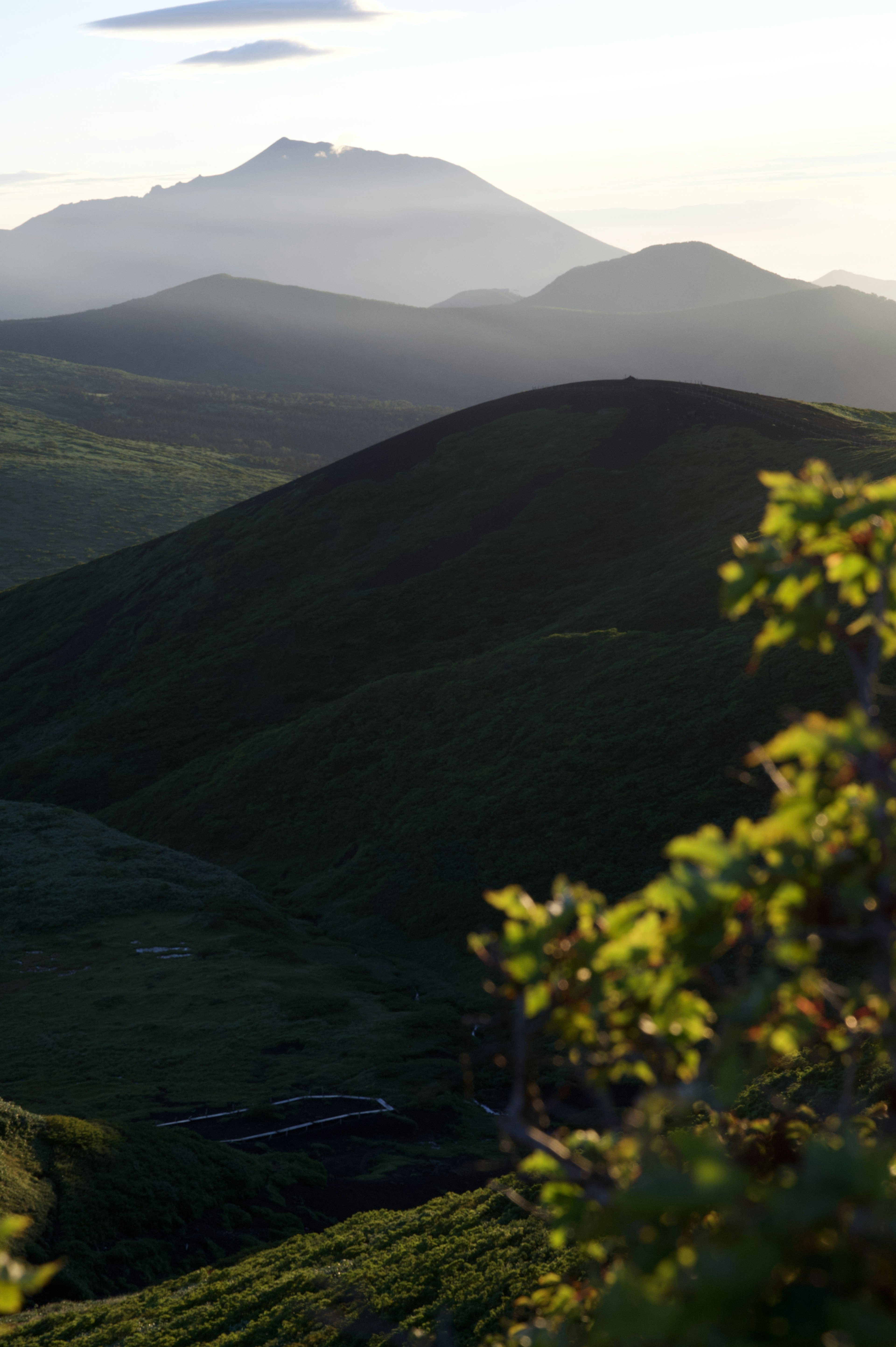 緑の丘陵と遠くの山の風景、柔らかな光が当たる