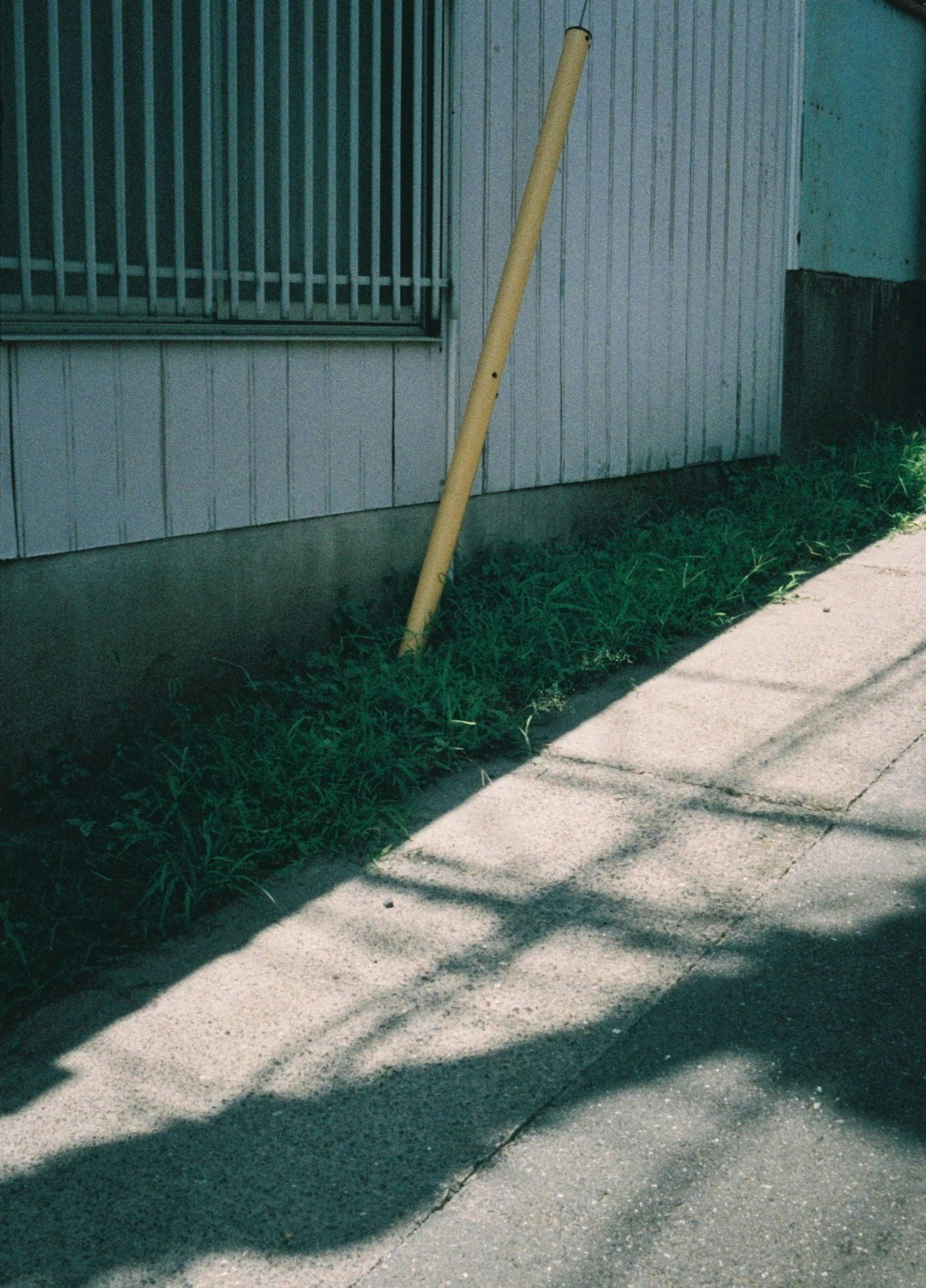 A tilted yellow pole standing amidst overgrown grass