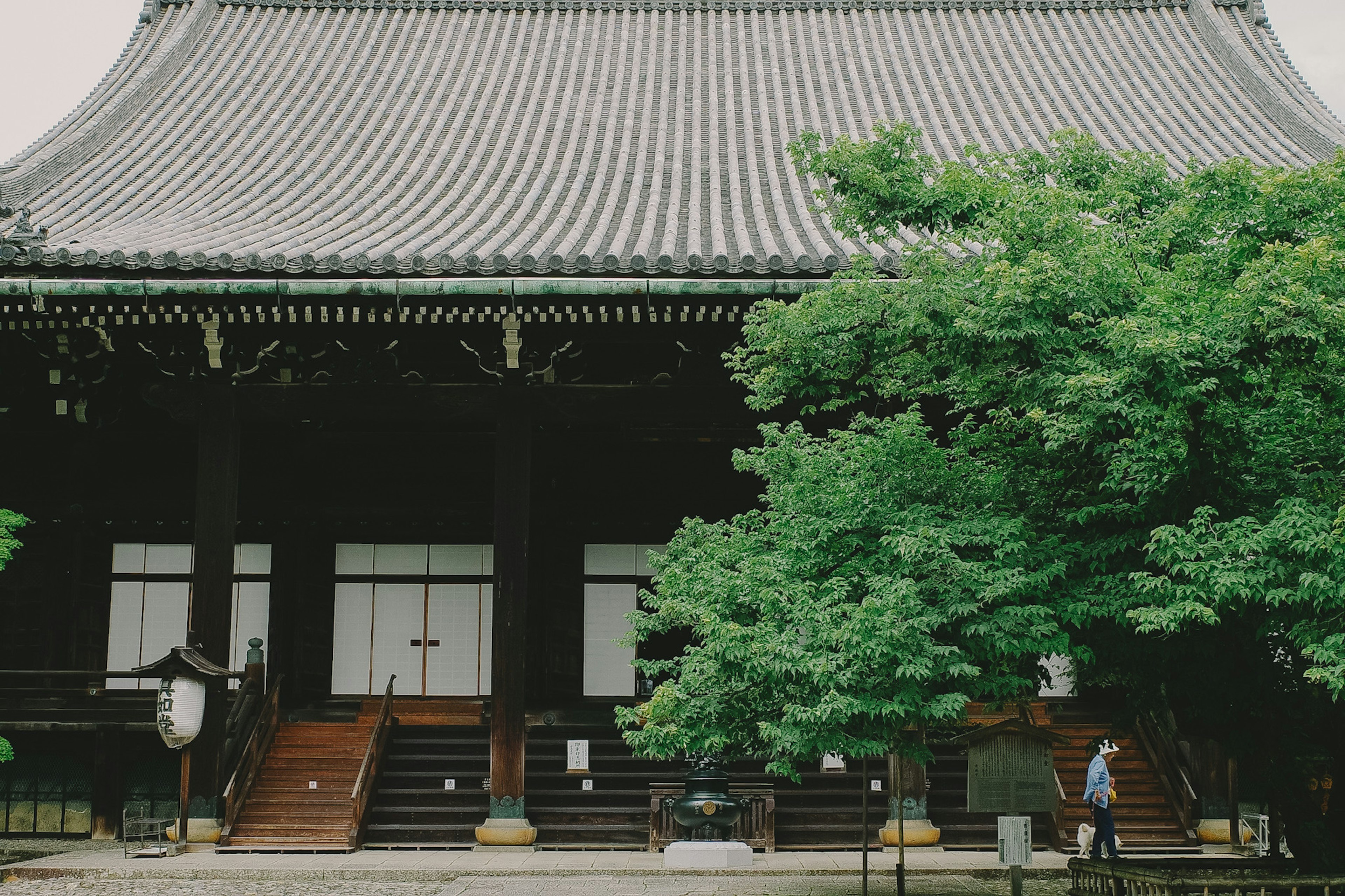 傳統日本寺廟外觀 綠樹和階梯