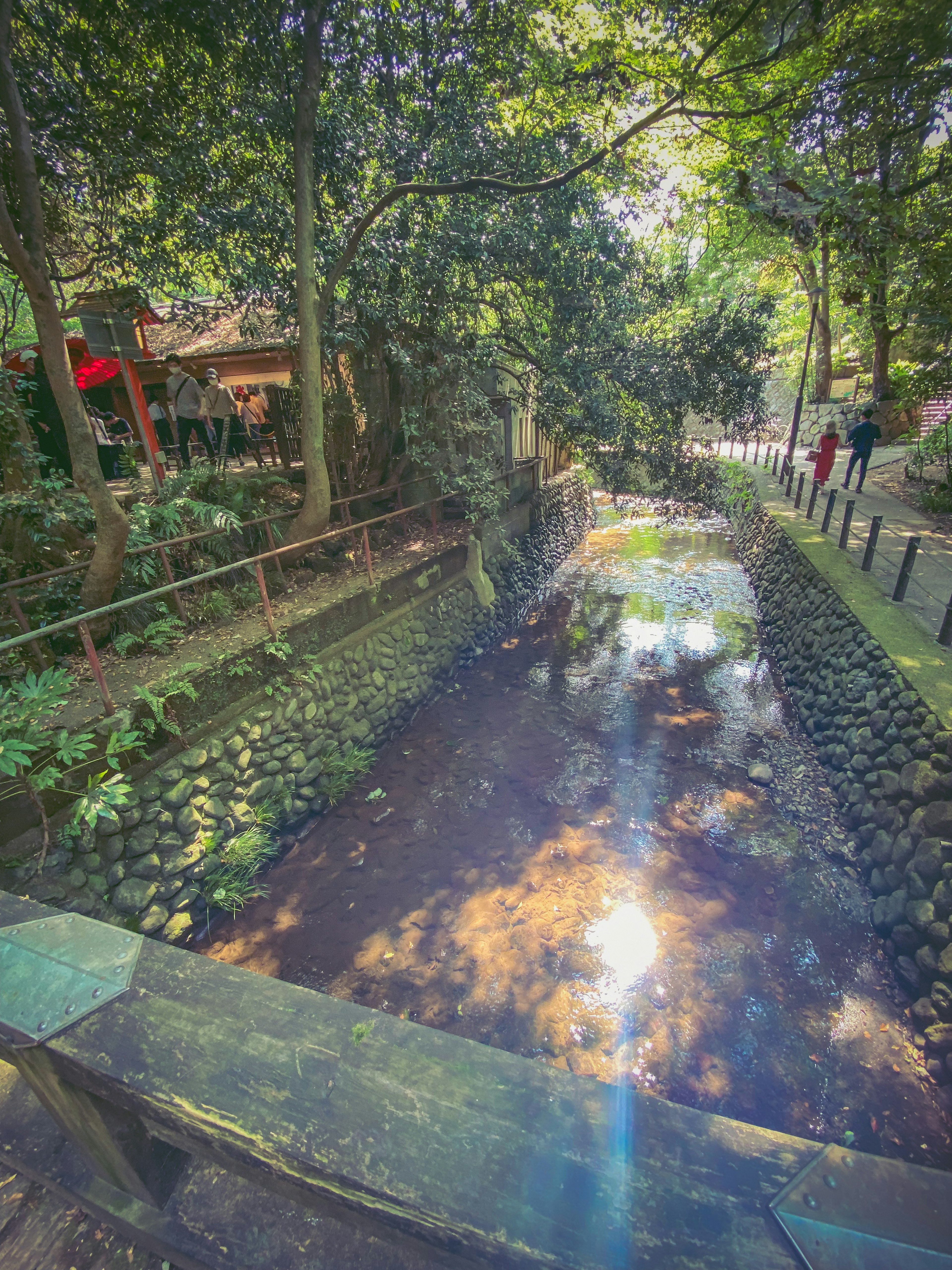 Scenic view of a stream surrounded by lush greenery and a wooden bridge