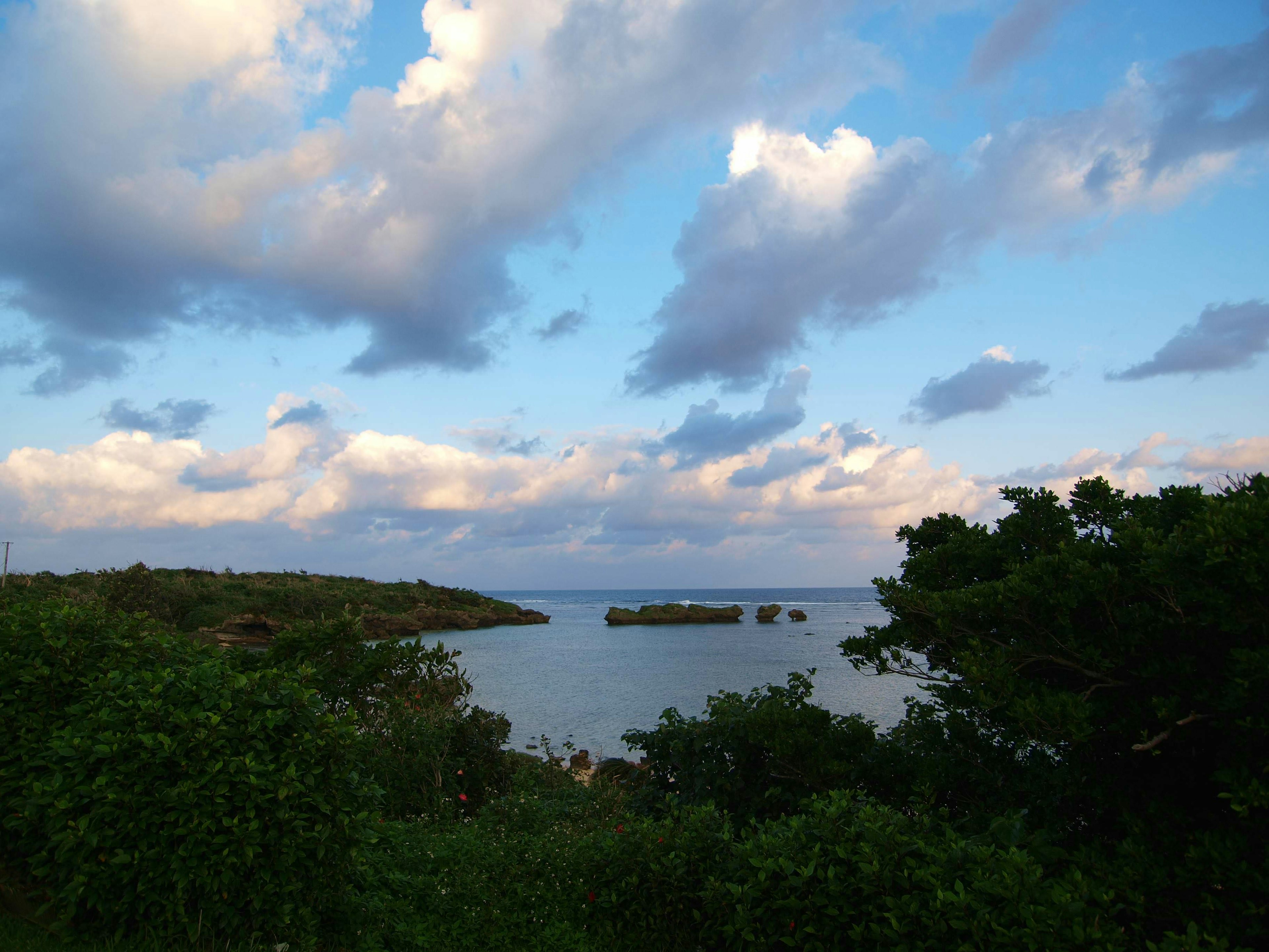 青い空と白い雲が広がる海の風景 緑の木々が前景にあり 小島が遠くに見える