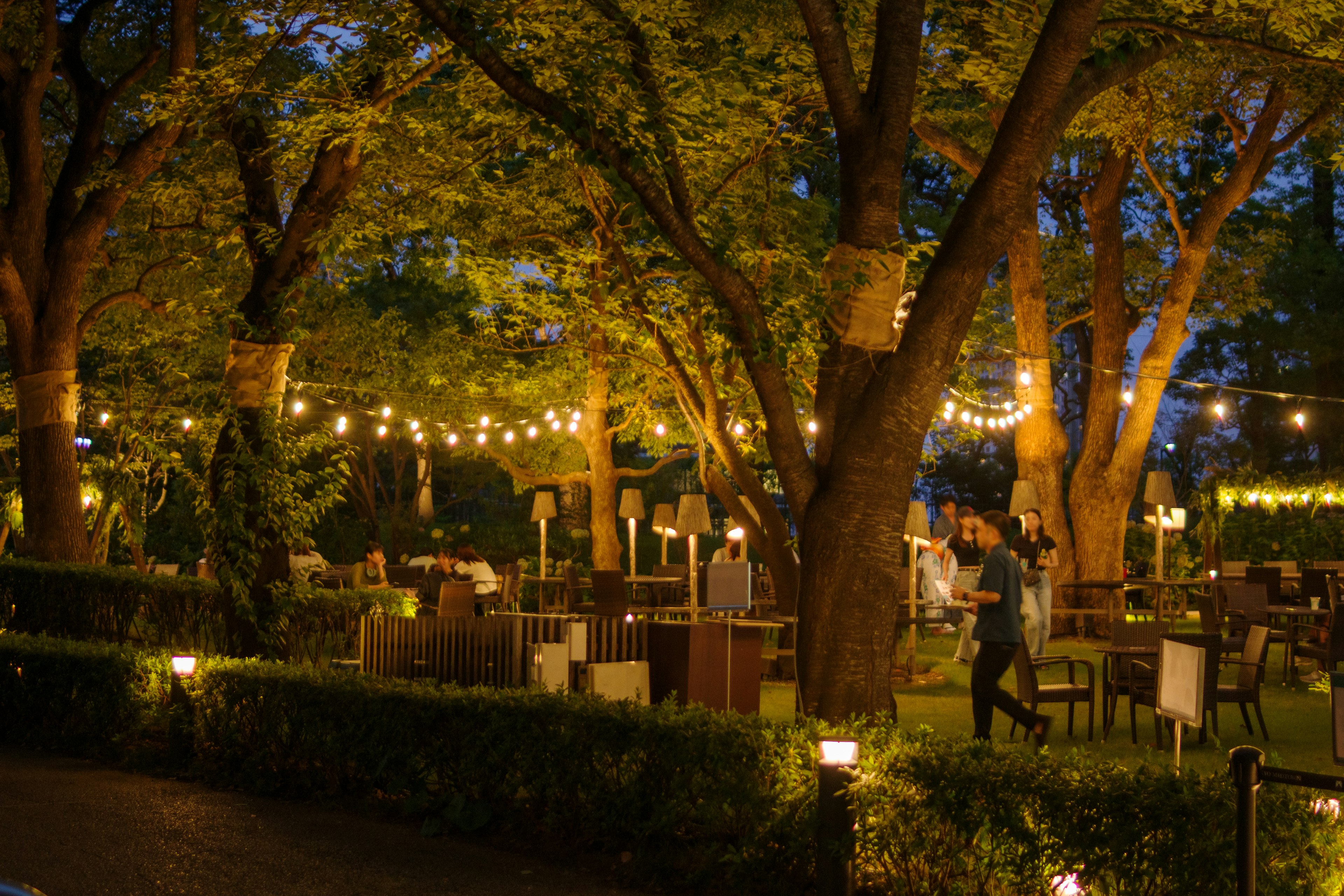 Charming outdoor restaurant with warm lights and trees at night