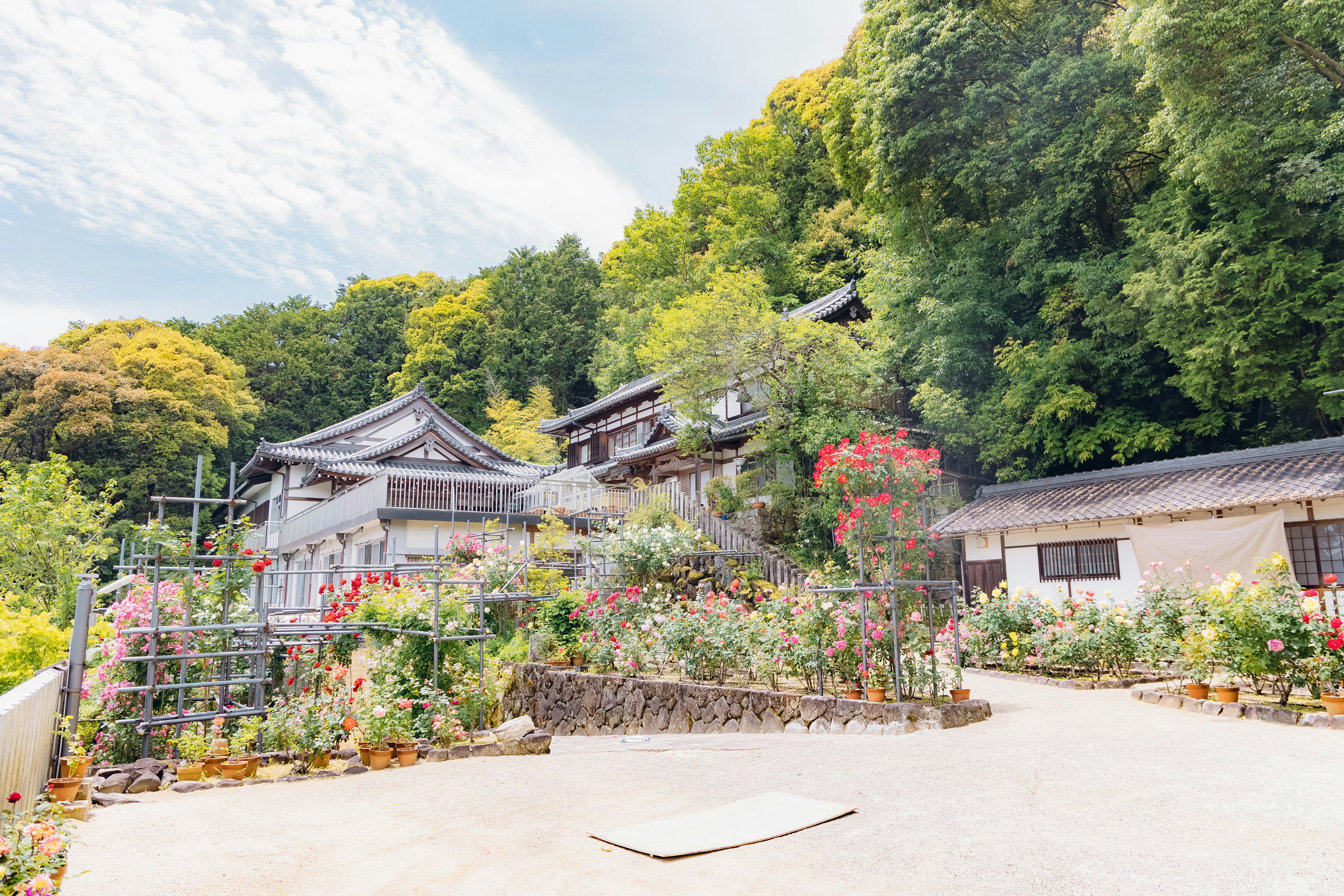 被郁郁葱葱的绿树和鲜花环绕的传统日本建筑