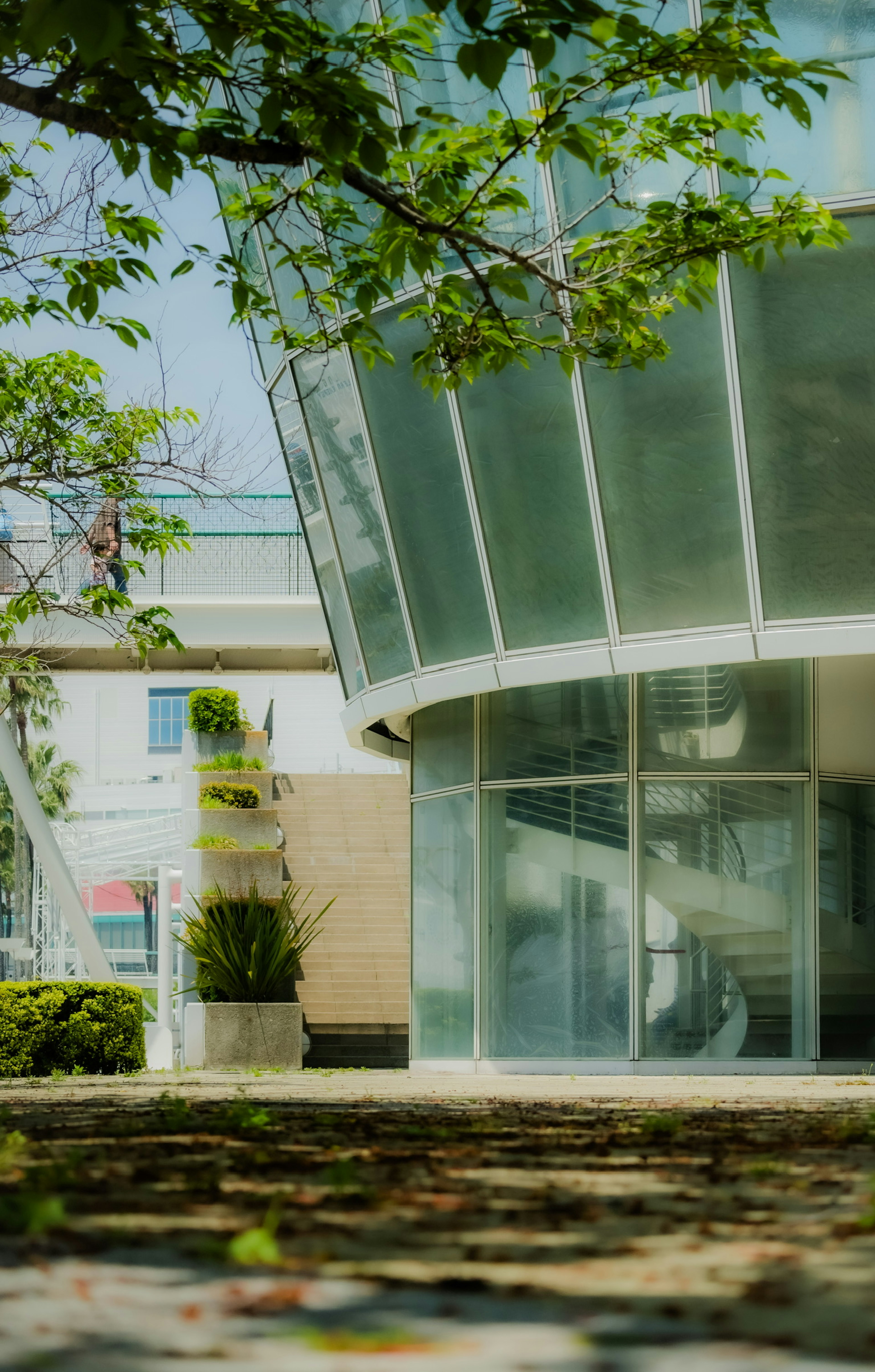 Extérieur d'un bâtiment moderne avec une structure en verre courbe et de la verdure