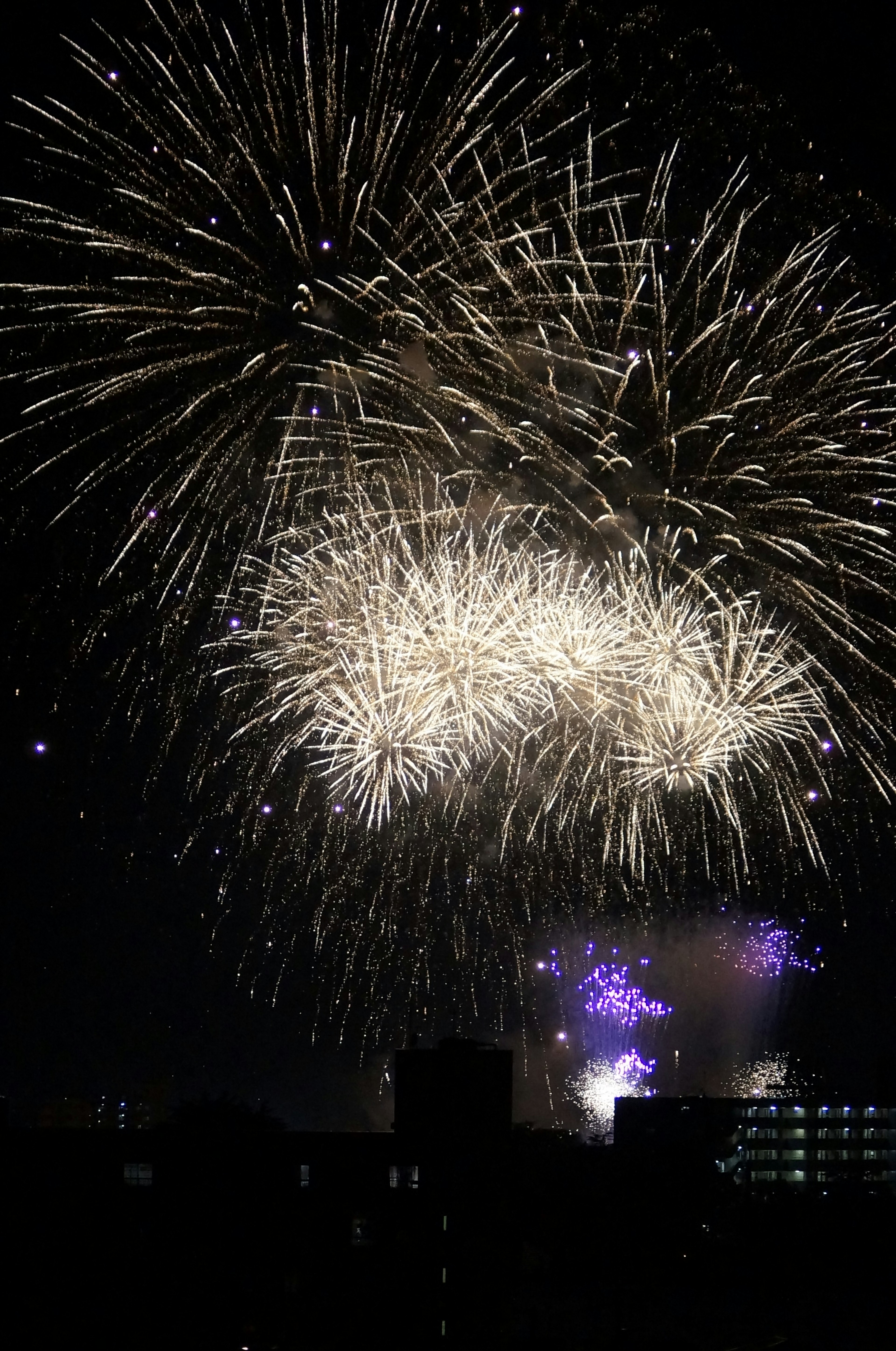 Wunderschönes Feuerwerk, das den Nachthimmel erleuchtet