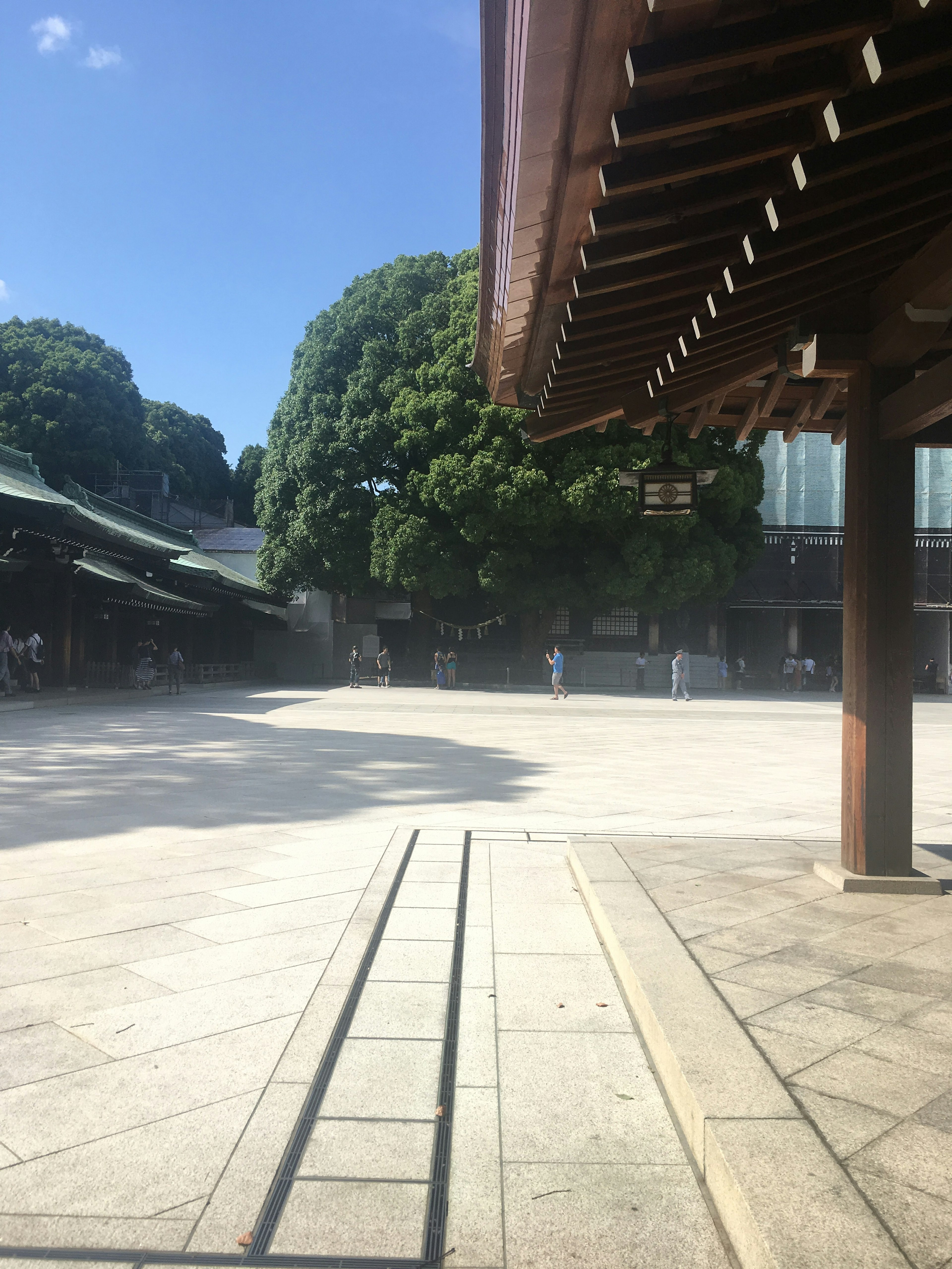 Quiet shrine courtyard under blue sky with large trees