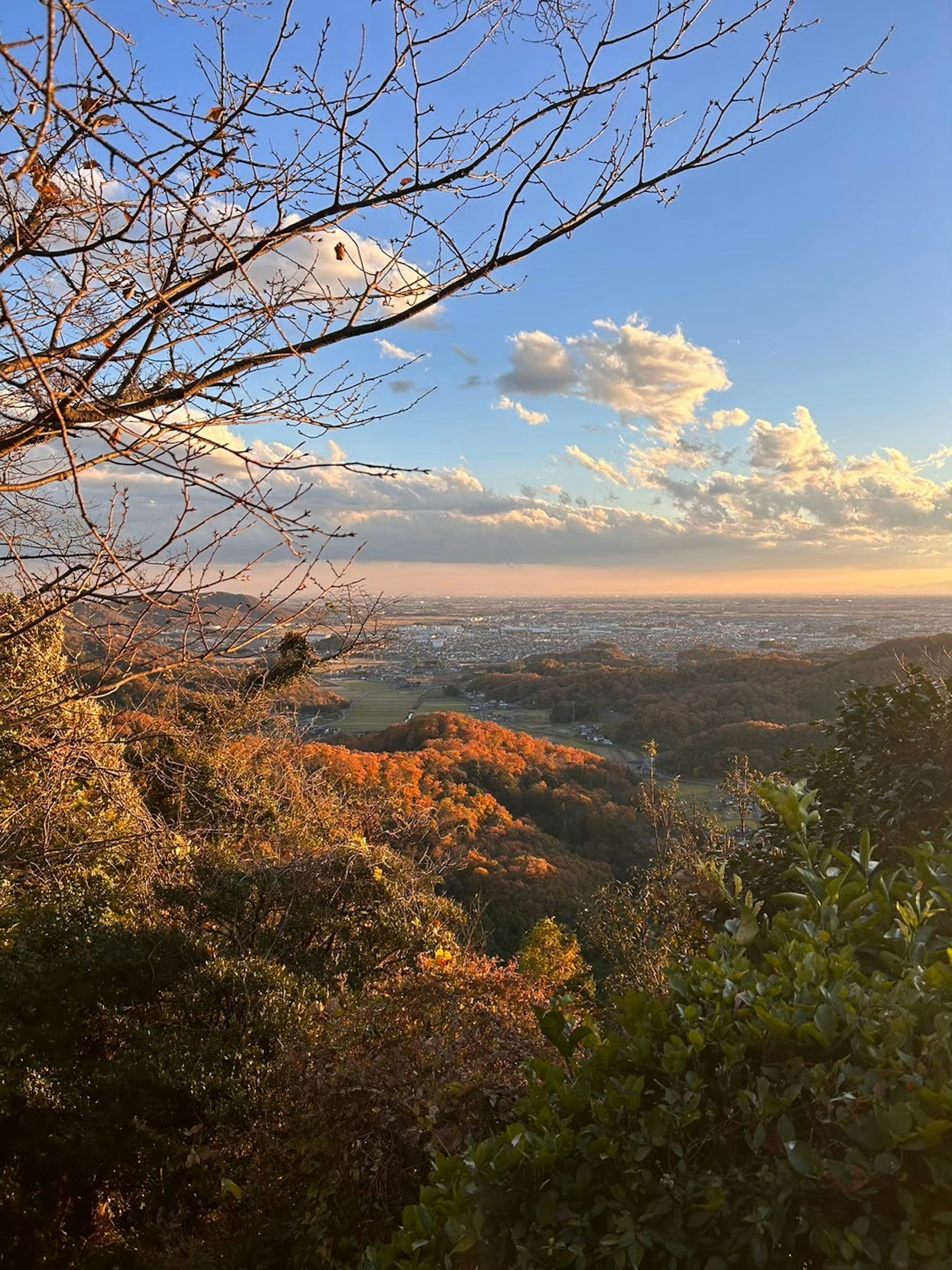 秋の風景と青い空の景色