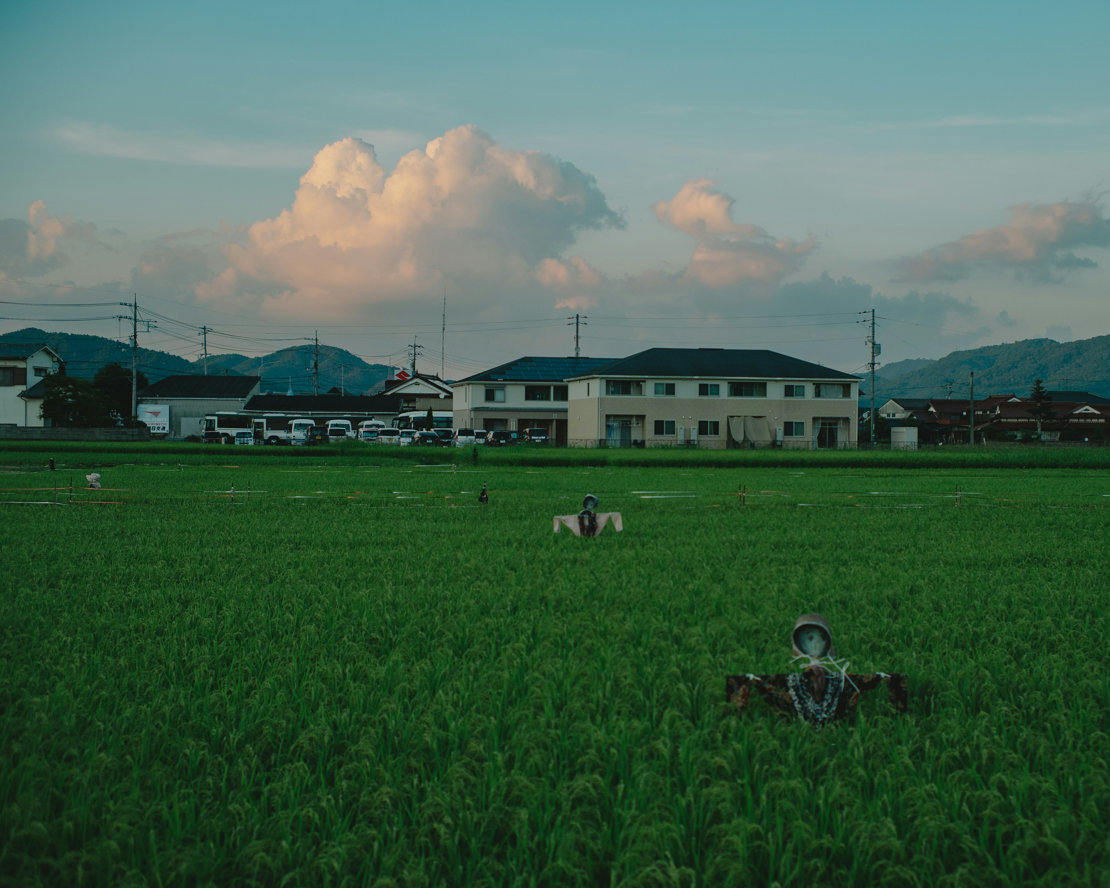 緑の稲田と背後の家々、青い空に浮かぶ雲、遠くの山々、田んぼに立つ案山子