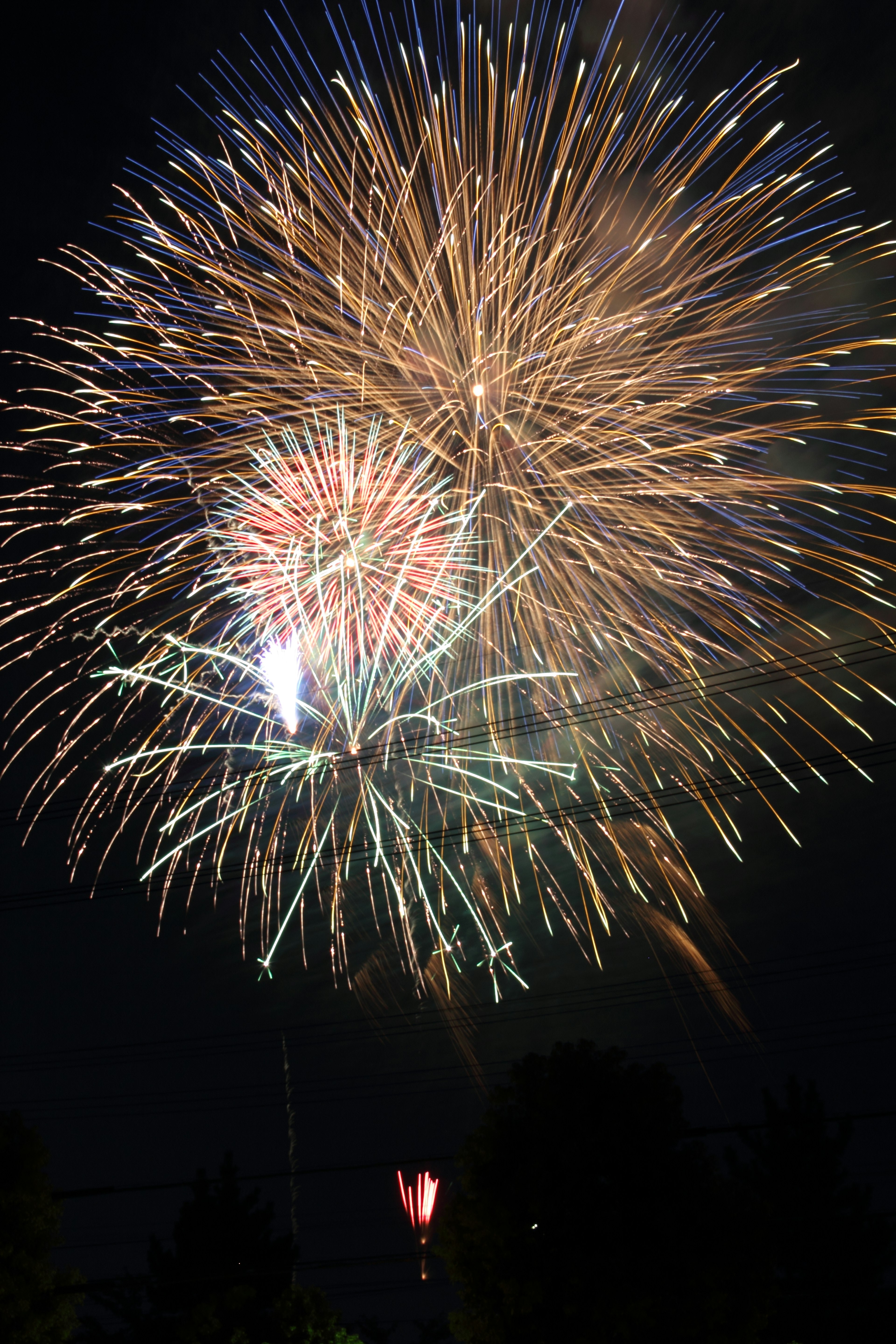 Fuochi d'artificio colorati che illuminano il cielo notturno