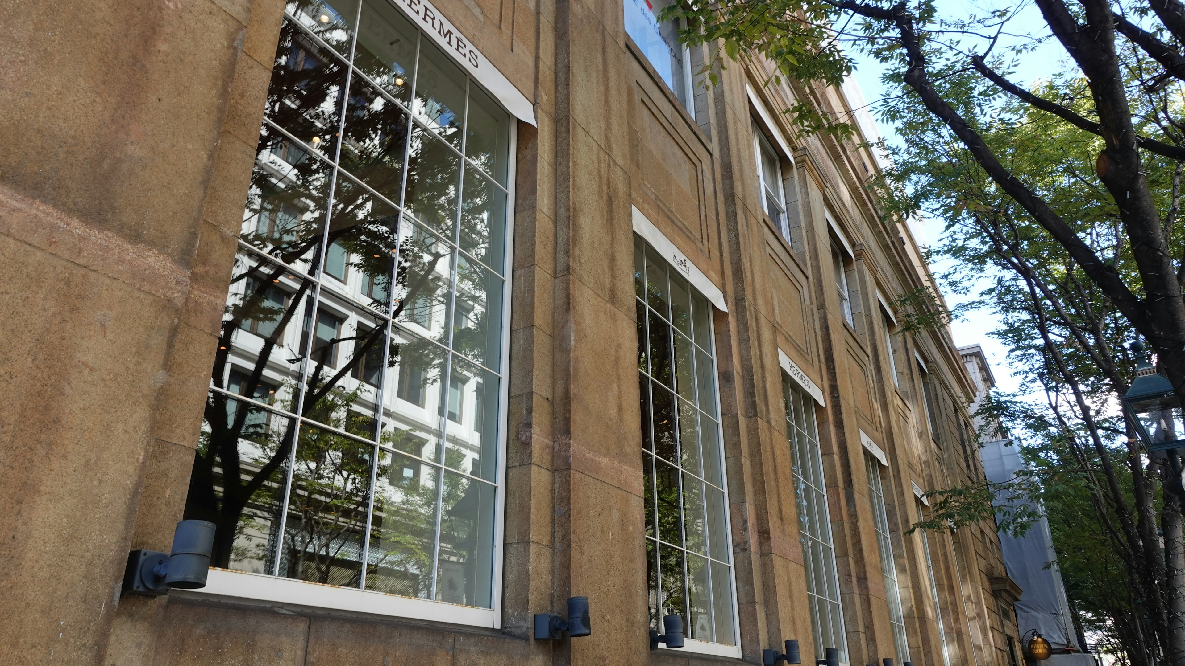 Side view of a building with large windows reflecting trees