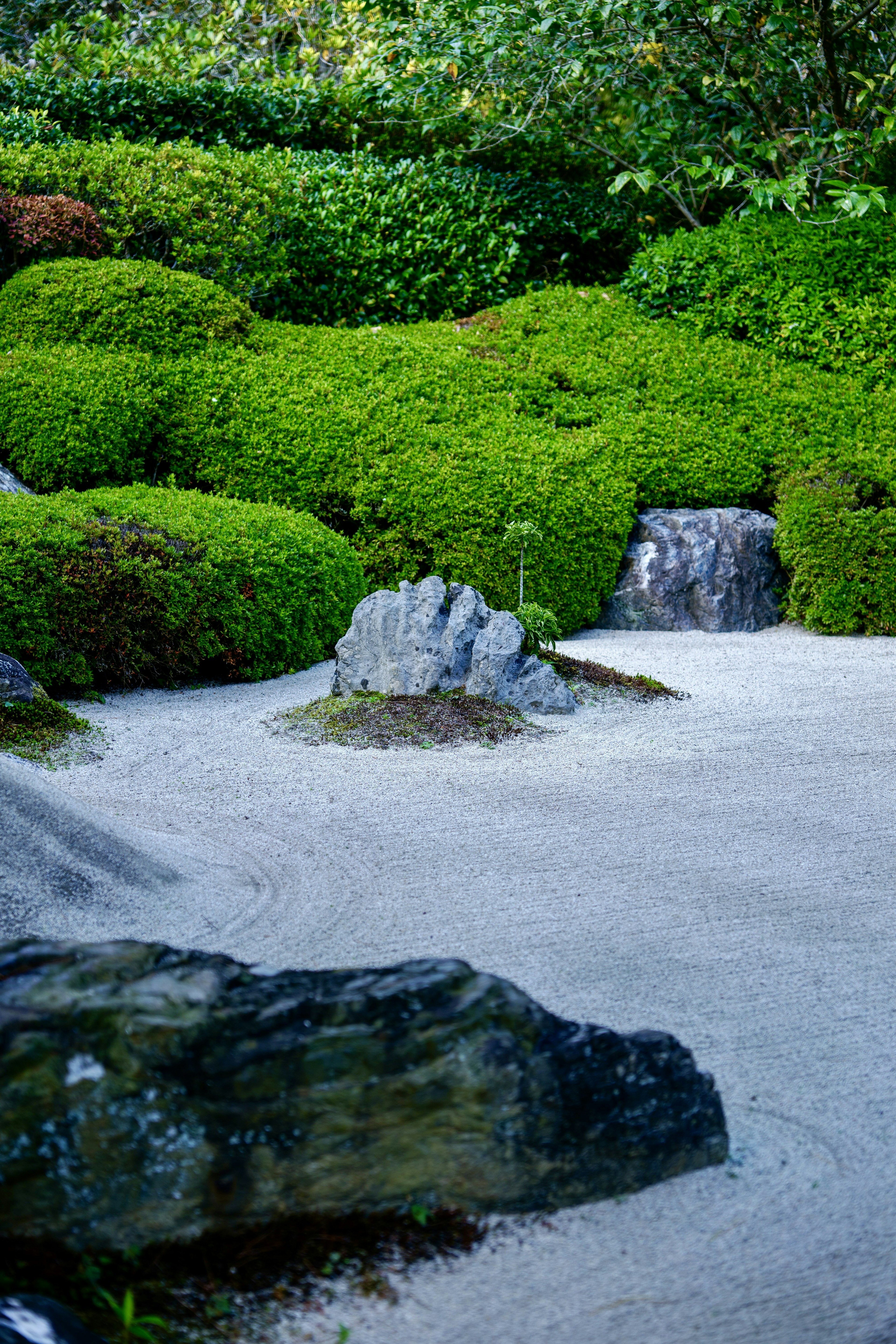 Serene landscape featuring low green shrubs and a sand garden