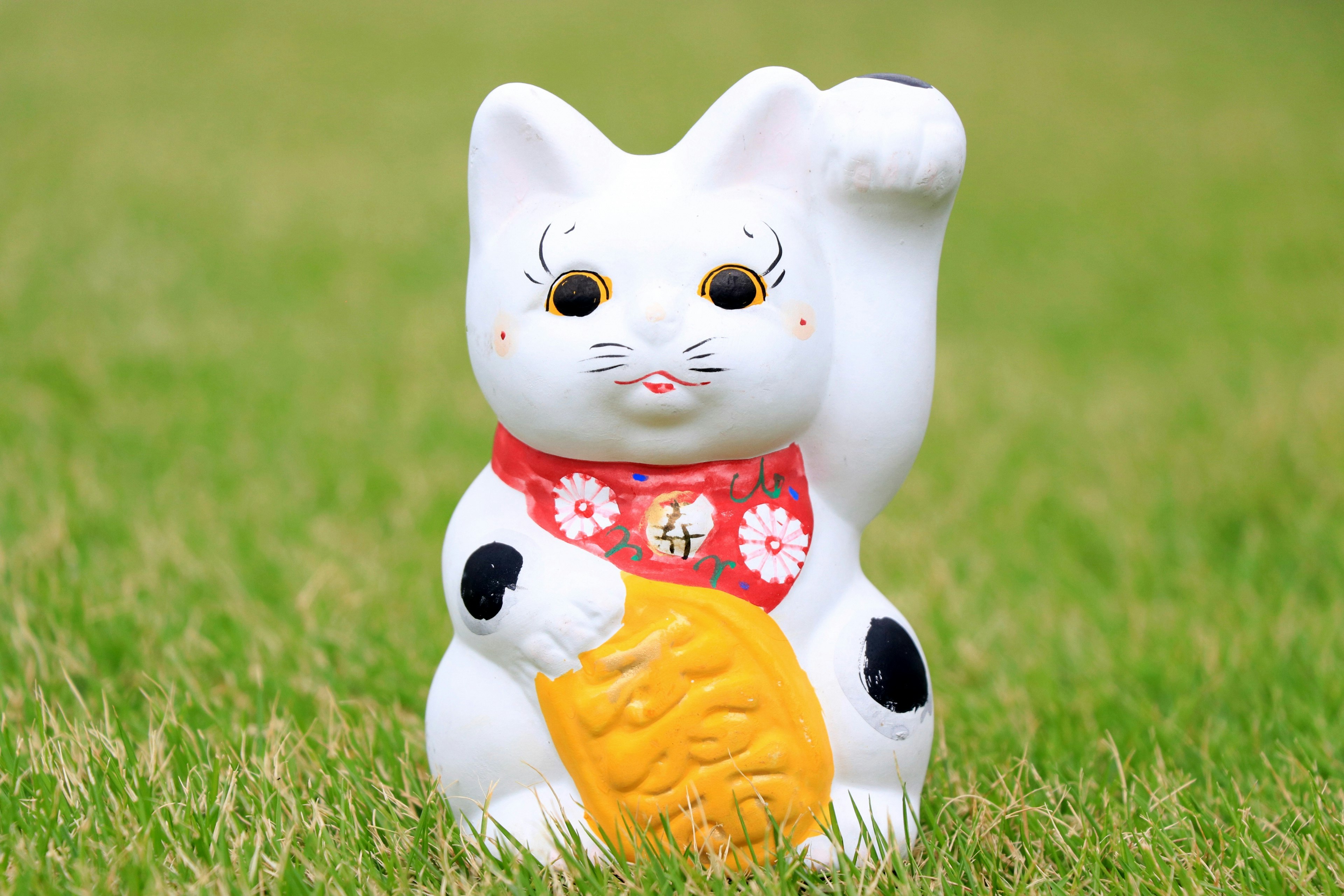 A white lucky cat holding a golden coin with a raised paw