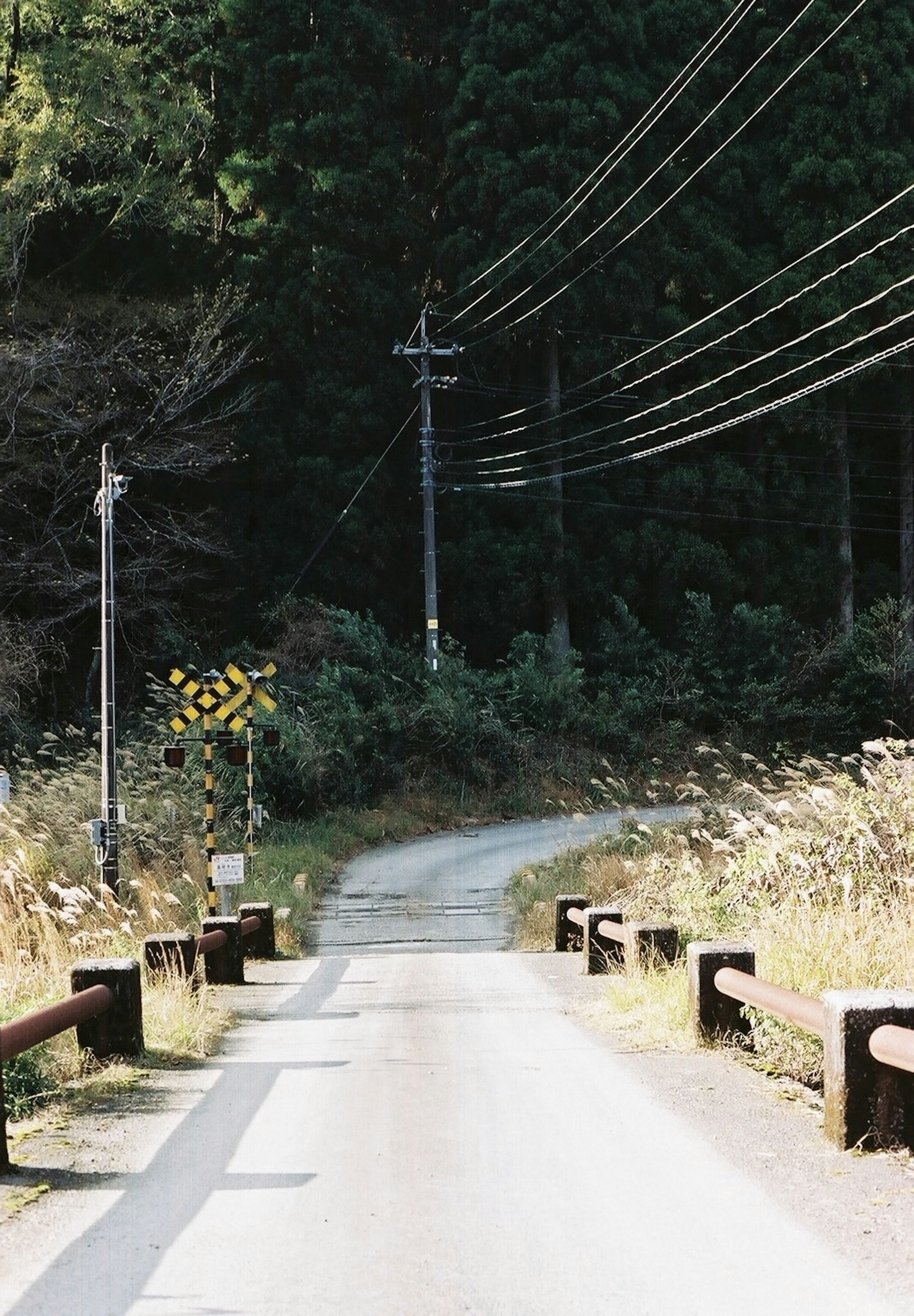 静かな田舎の道と電線のある風景