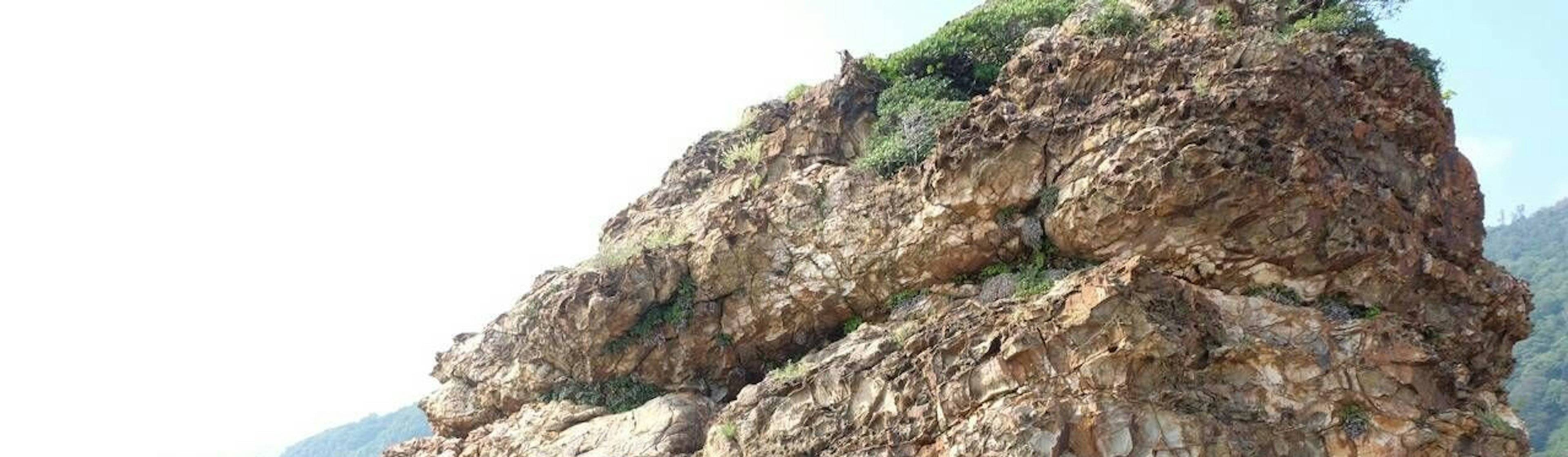 岩石の構造と緑の植物が特徴的な海岸の風景