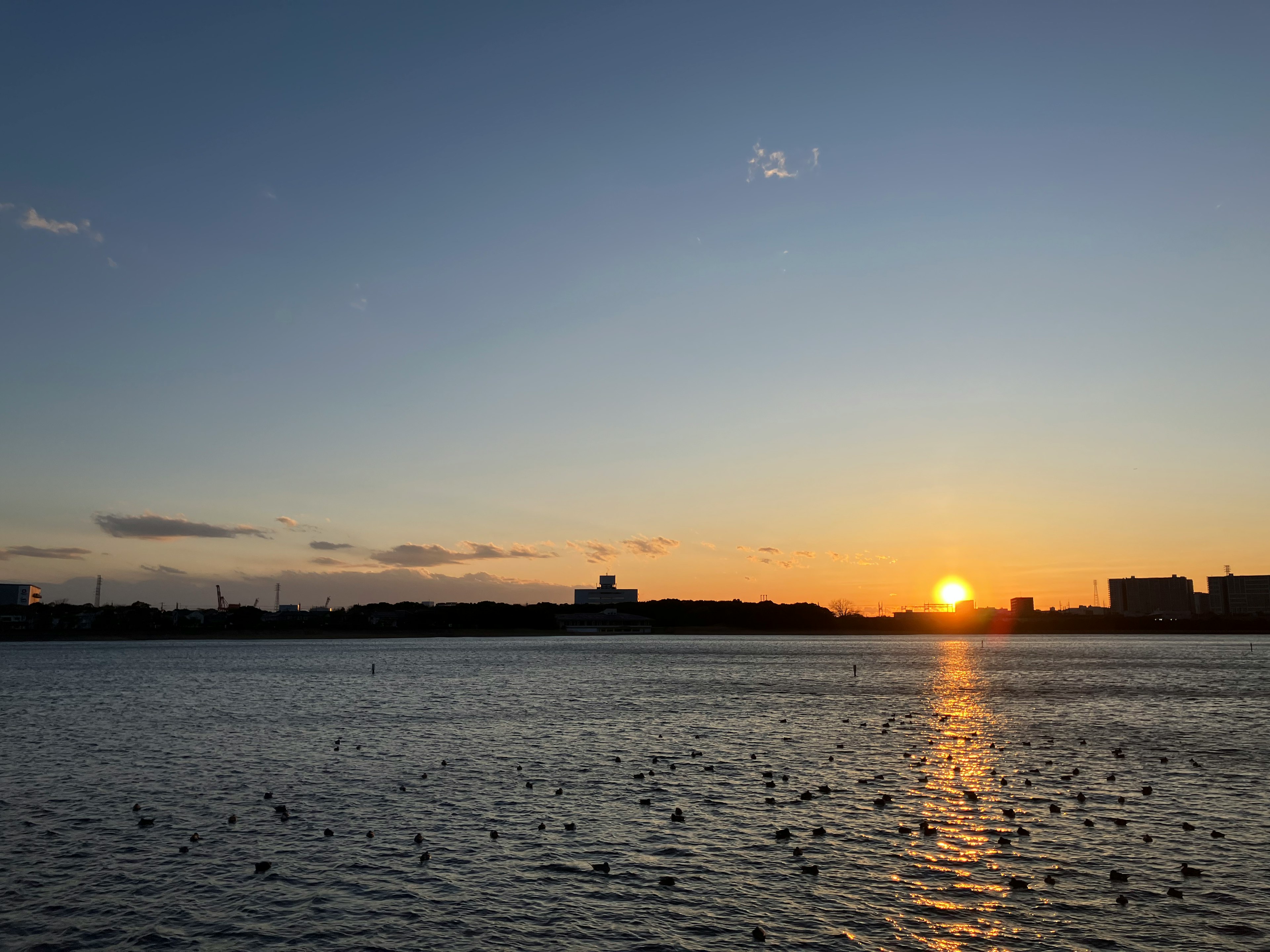 夕日が水面に反射する静かな湖の風景