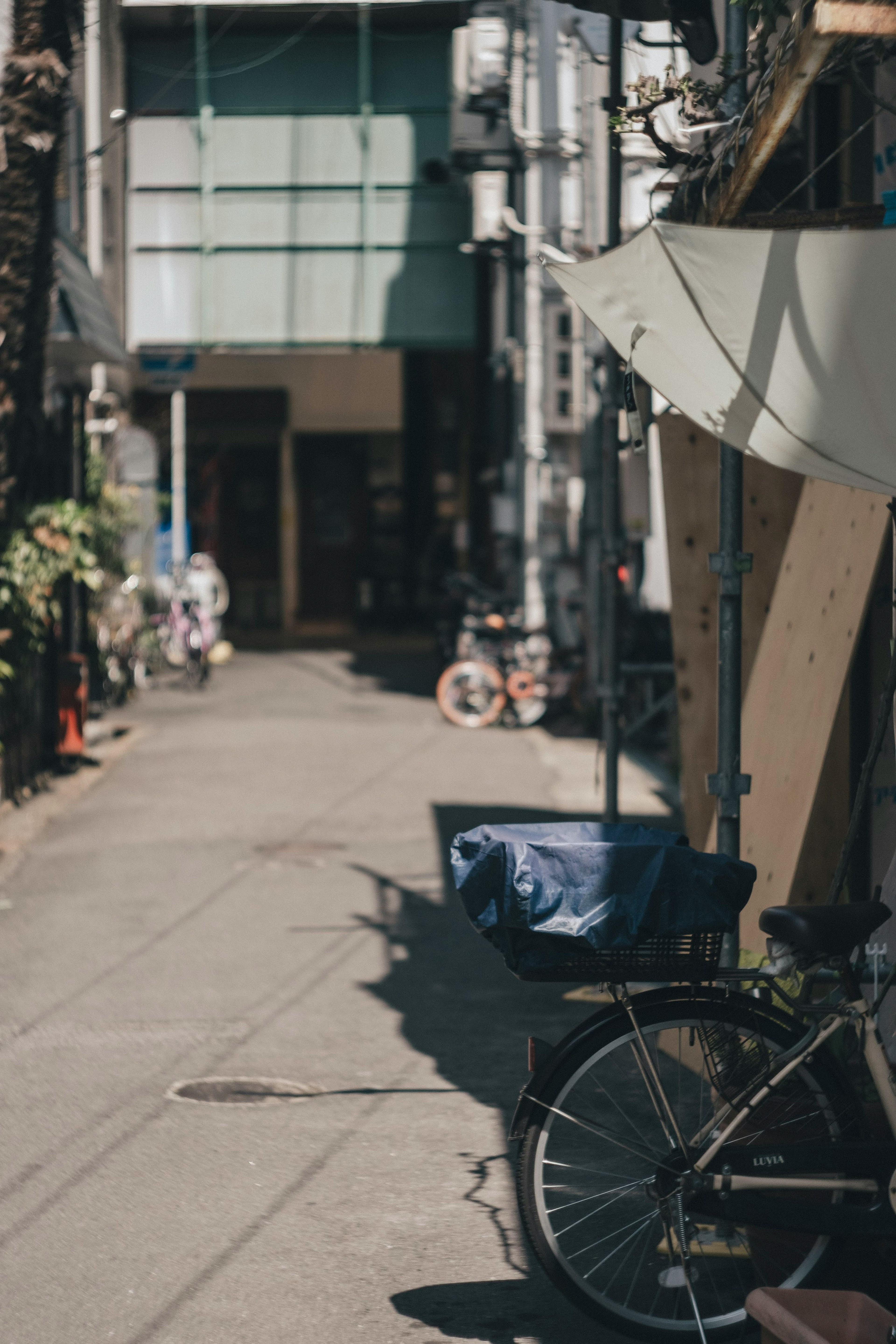 Image of a narrow alley featuring a bicycle and the side of a wooden structure