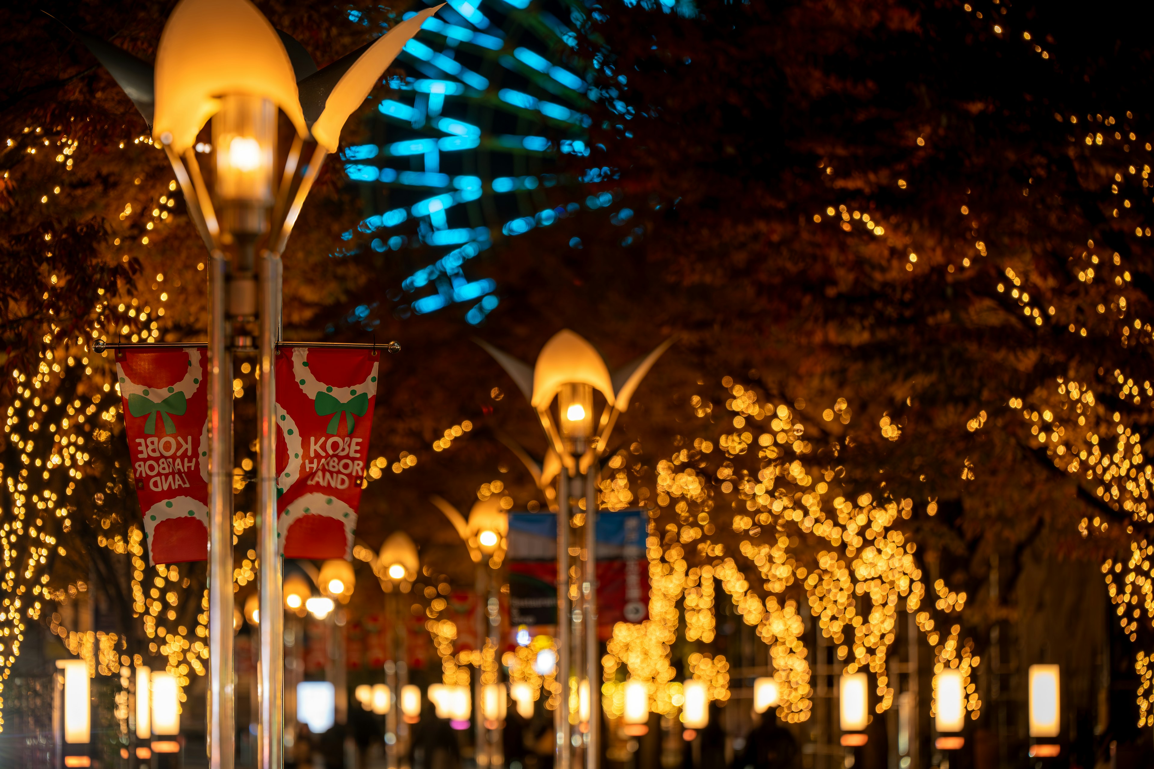 Nächtliche Szene eines Parks mit funkelnden Lichtern und einem Riesenrad