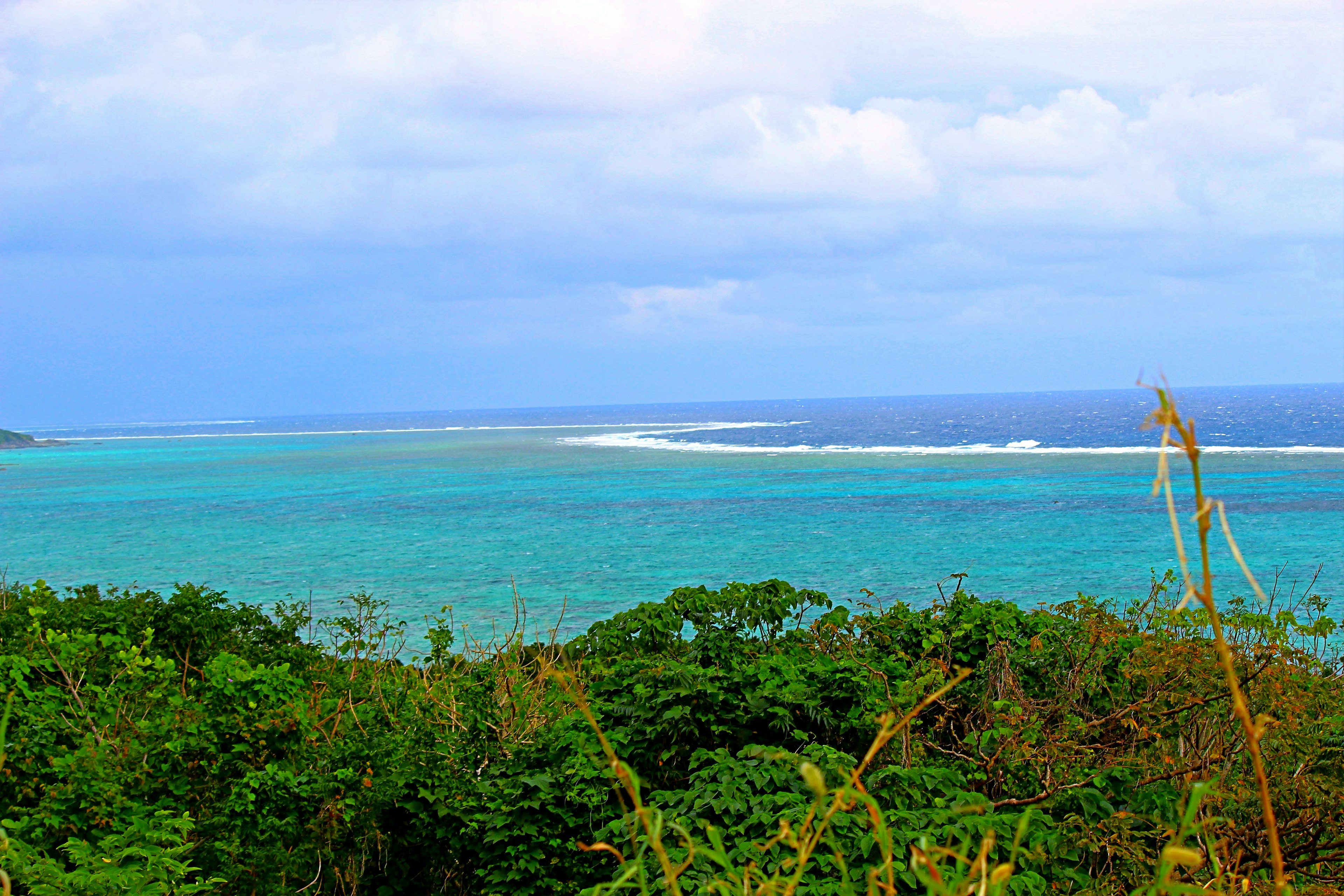 美しい青い海と緑の木々の風景