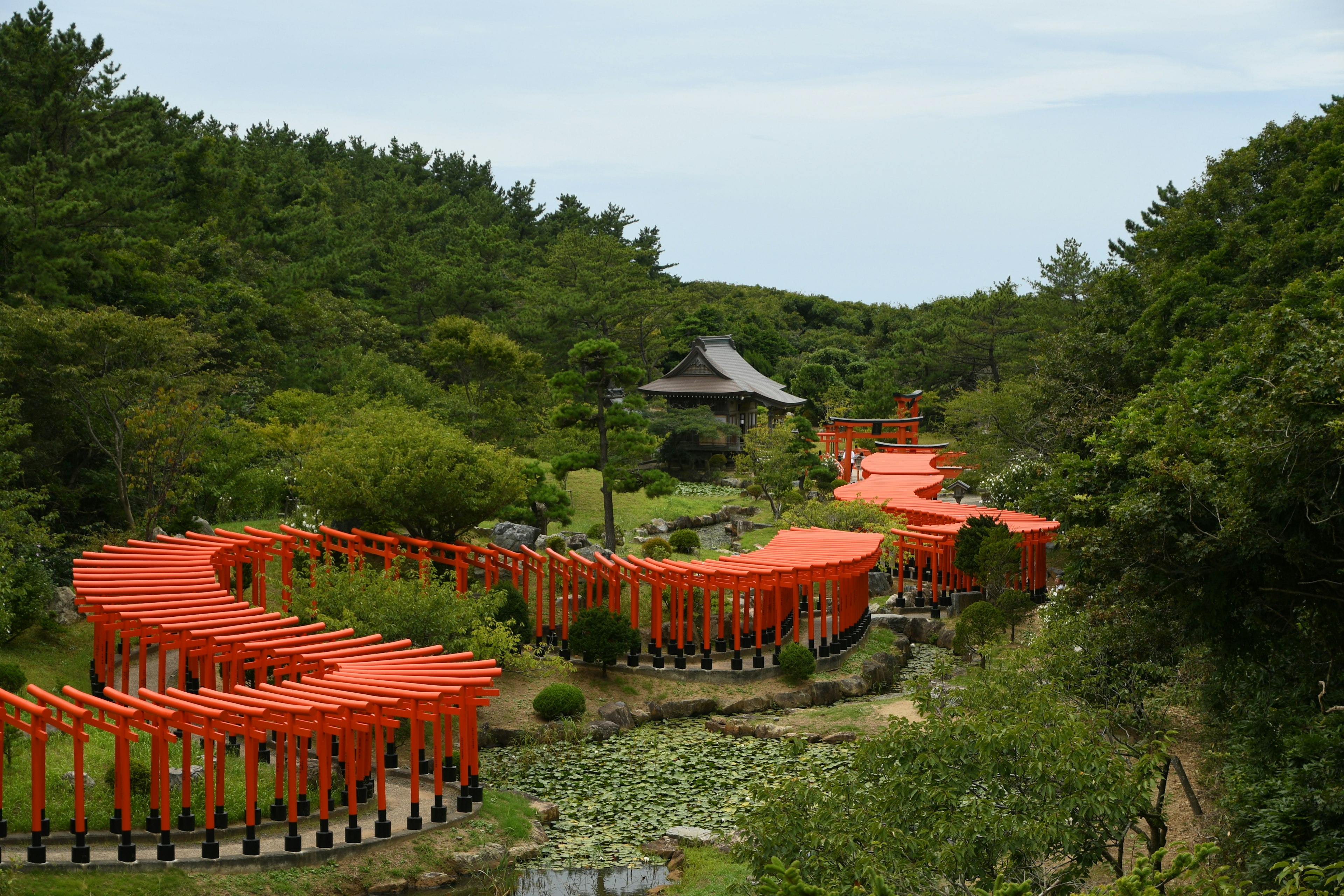 緑の木々に囲まれたオレンジ色の鳥居が続く風景と小さな建物