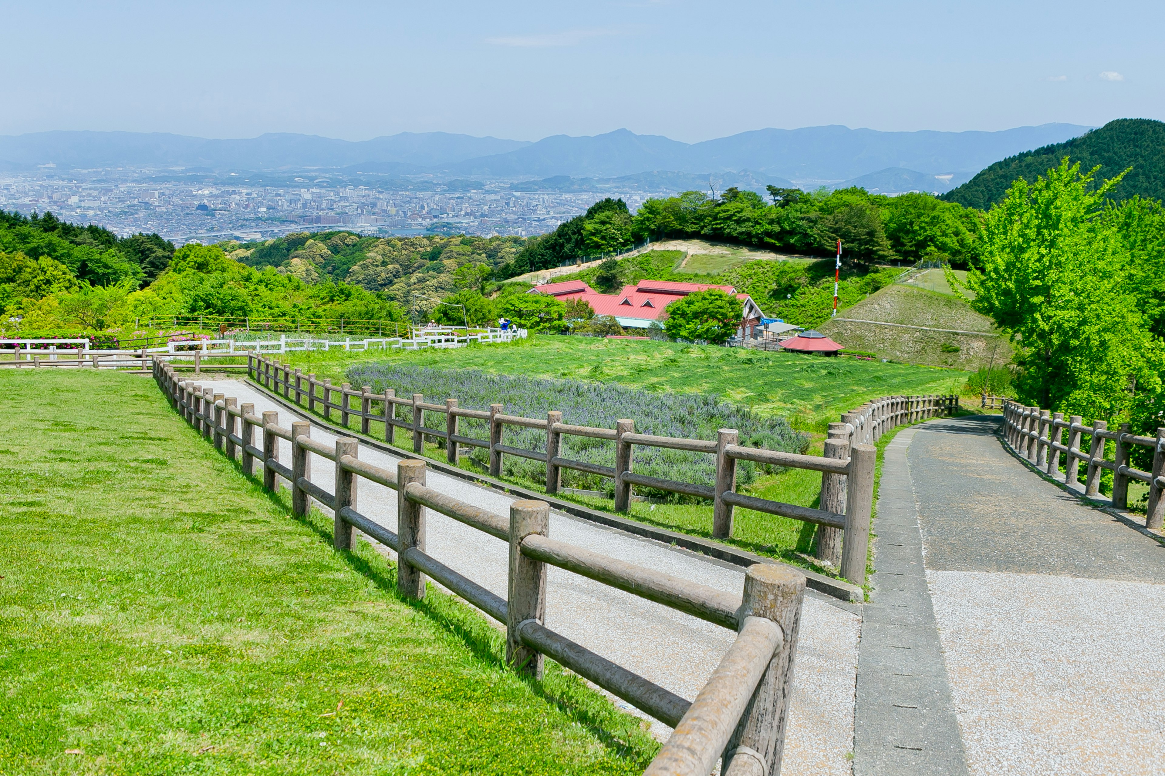 Vue panoramique du parc avec un chemin sinueux et une végétation luxuriante