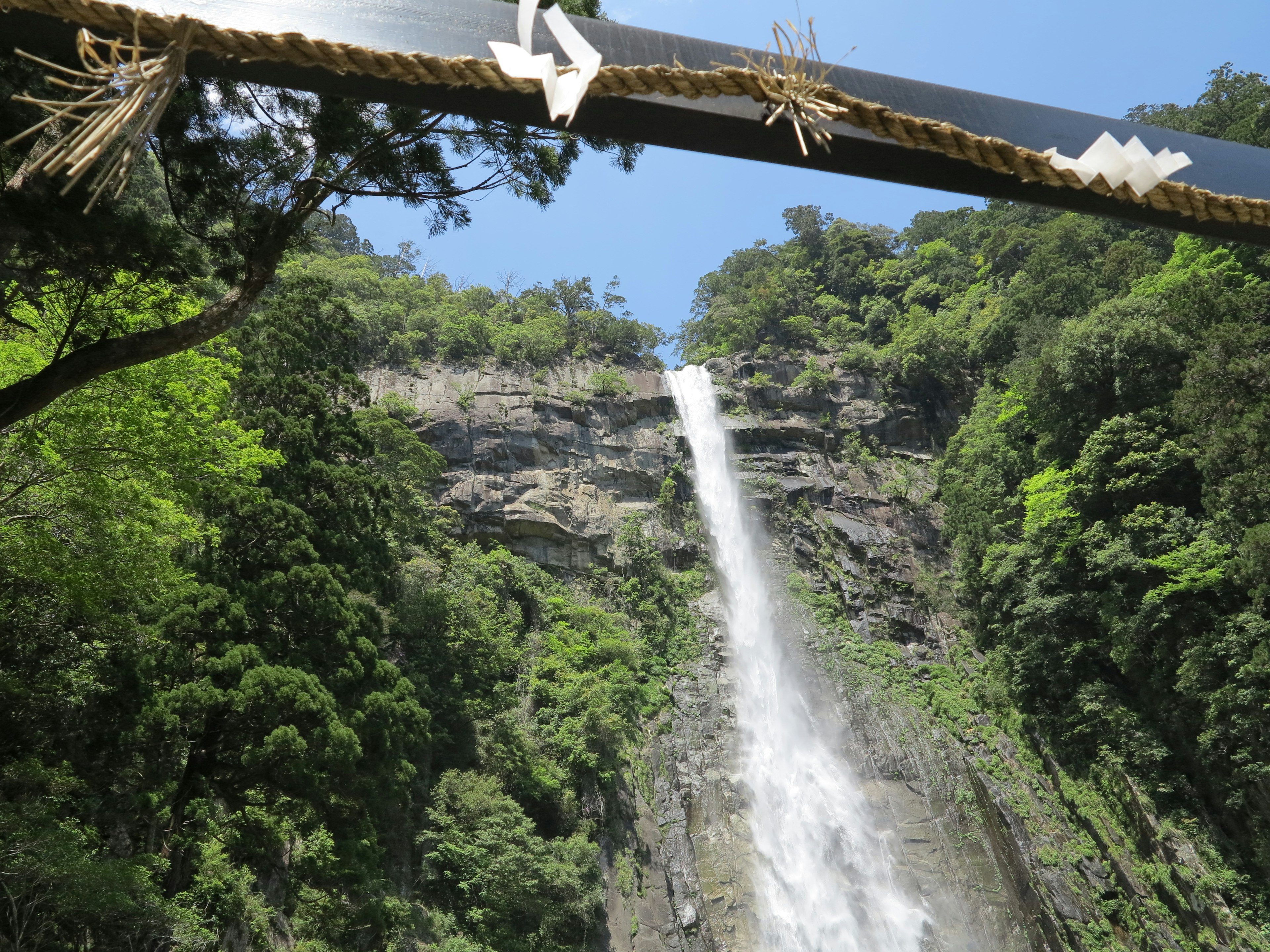 Cascata circondata da vegetazione lussureggiante sotto un cielo blu