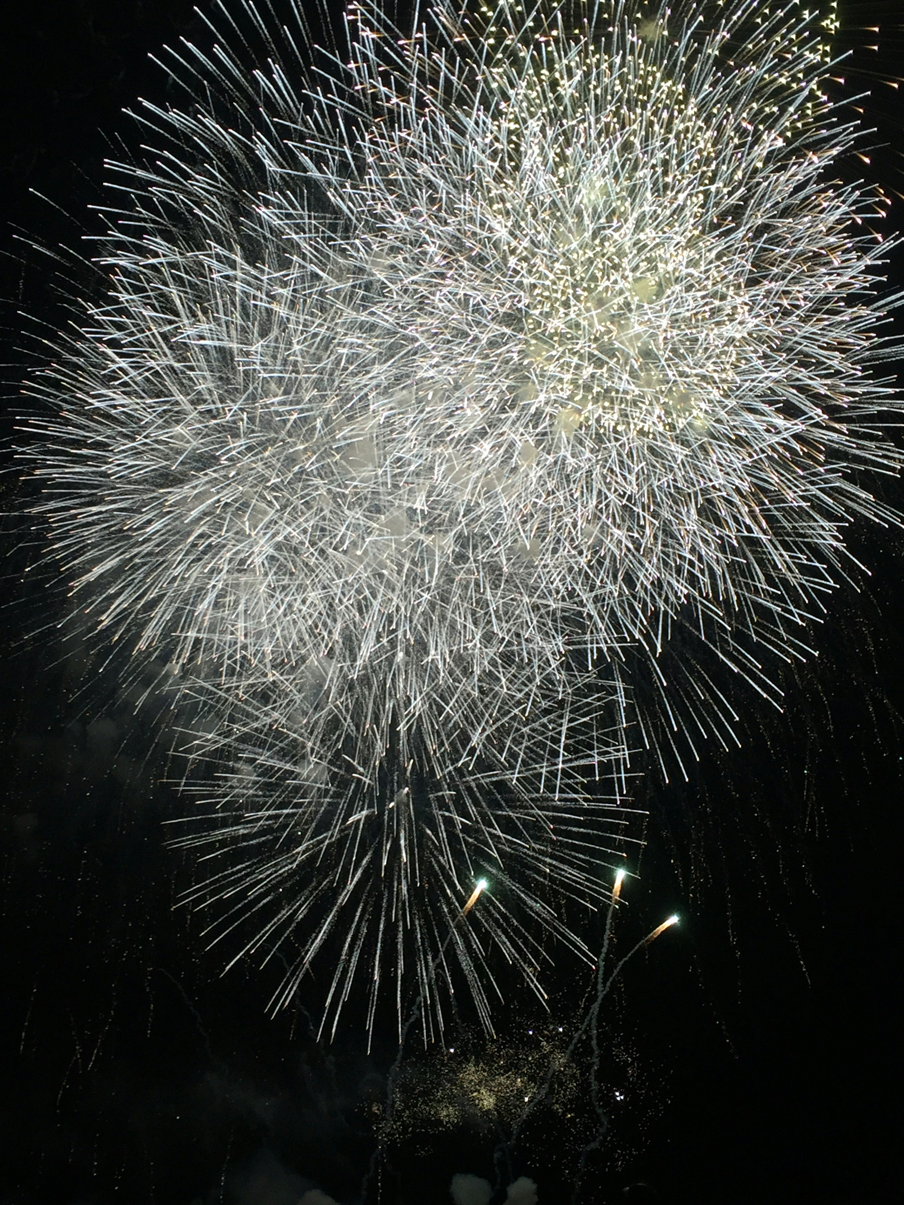 Explosive white fireworks bursting in the night sky