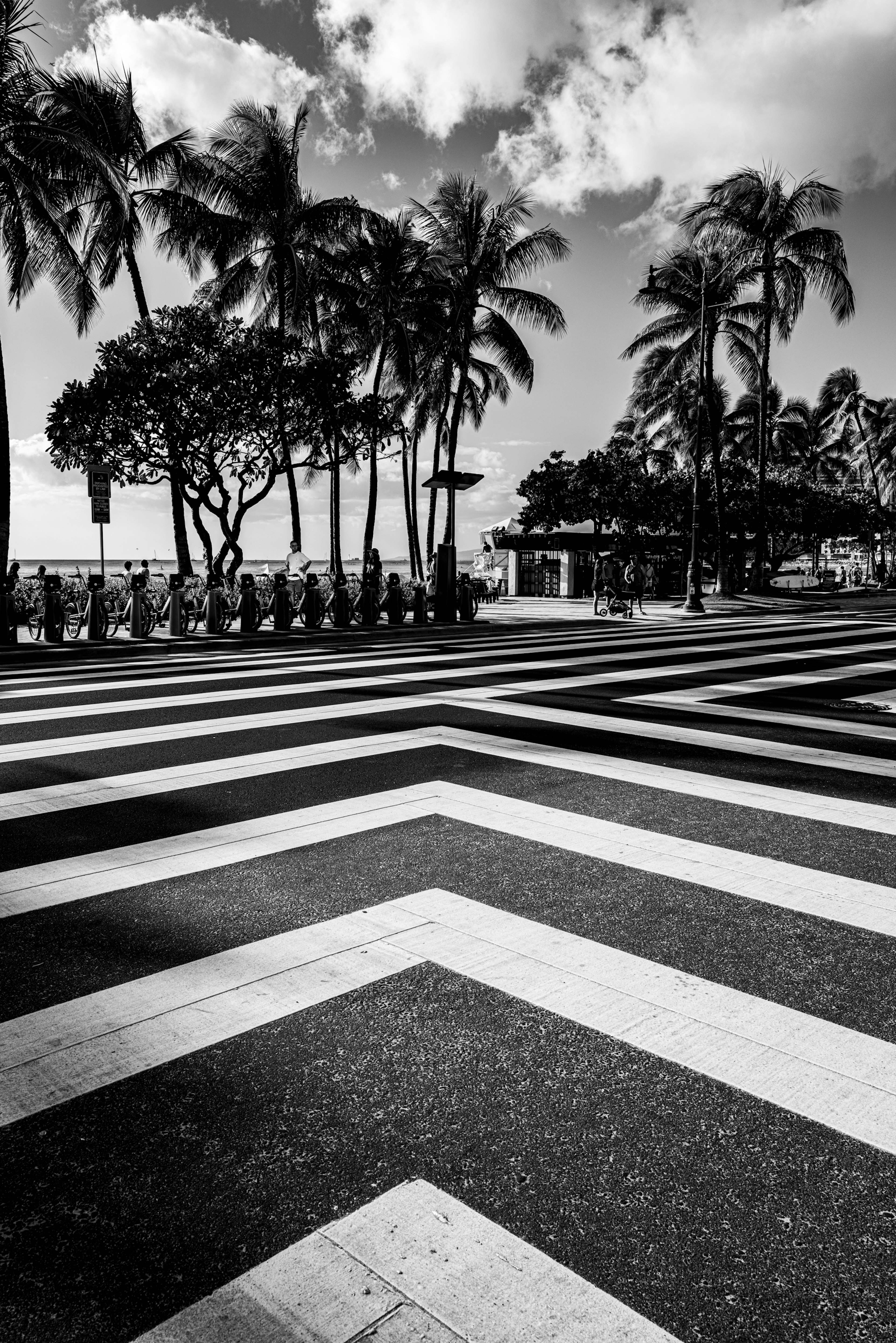 白黒のストライプパターンの道路とヤシの木がある風景