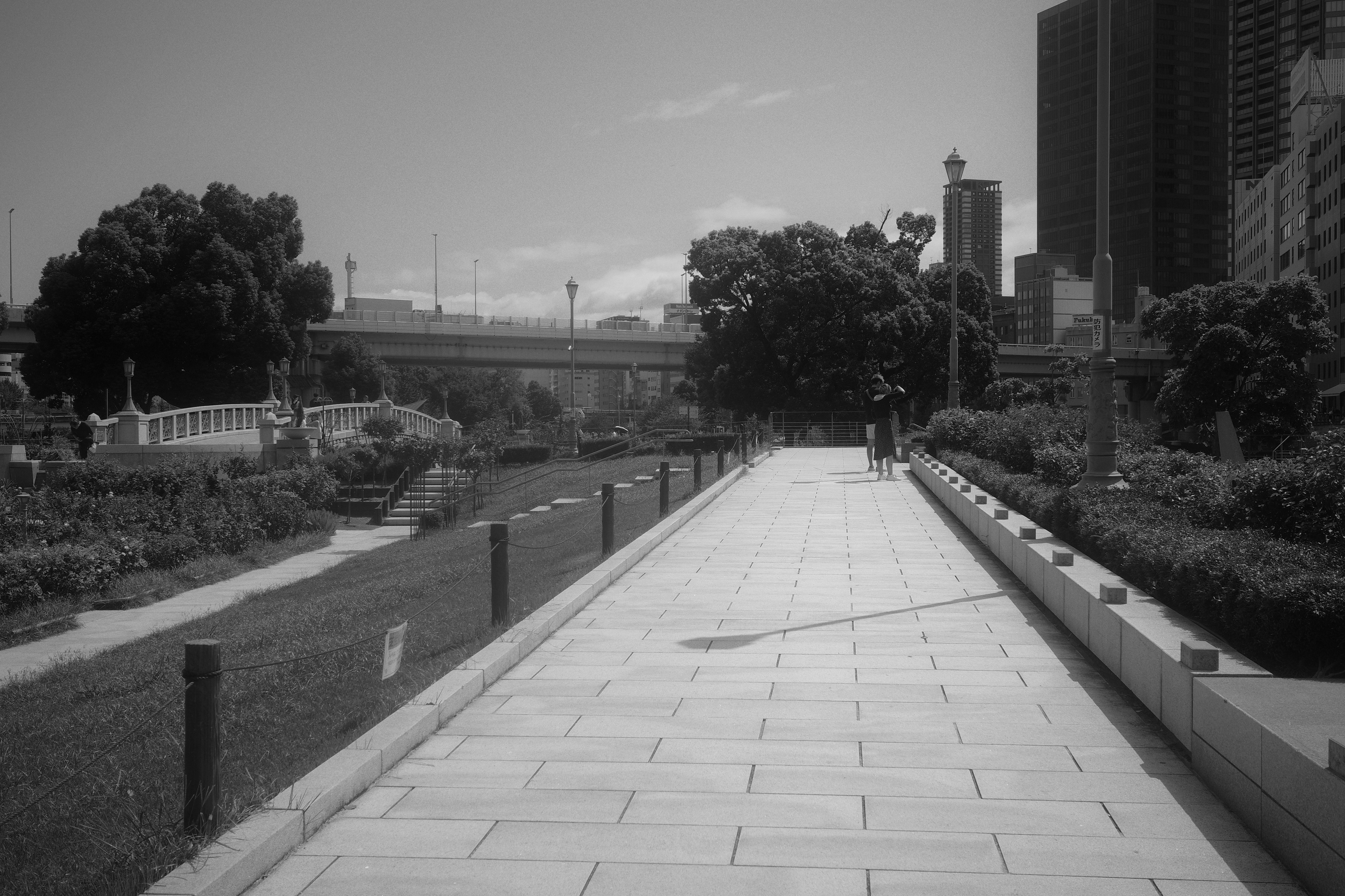 Black and white pathway in a park with skyscrapers in the background