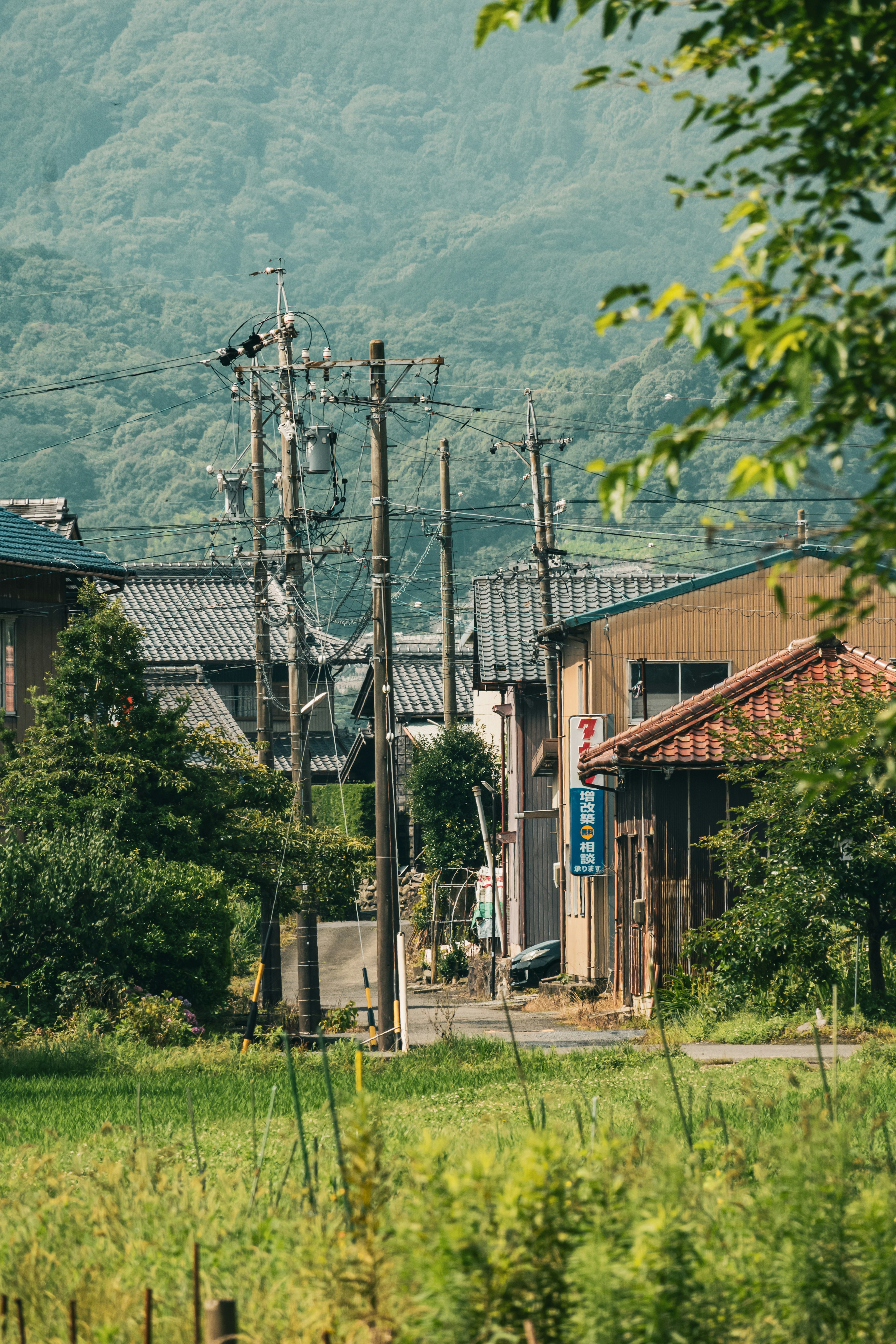 Countryside scene with houses and utility poles surrounded by mountains