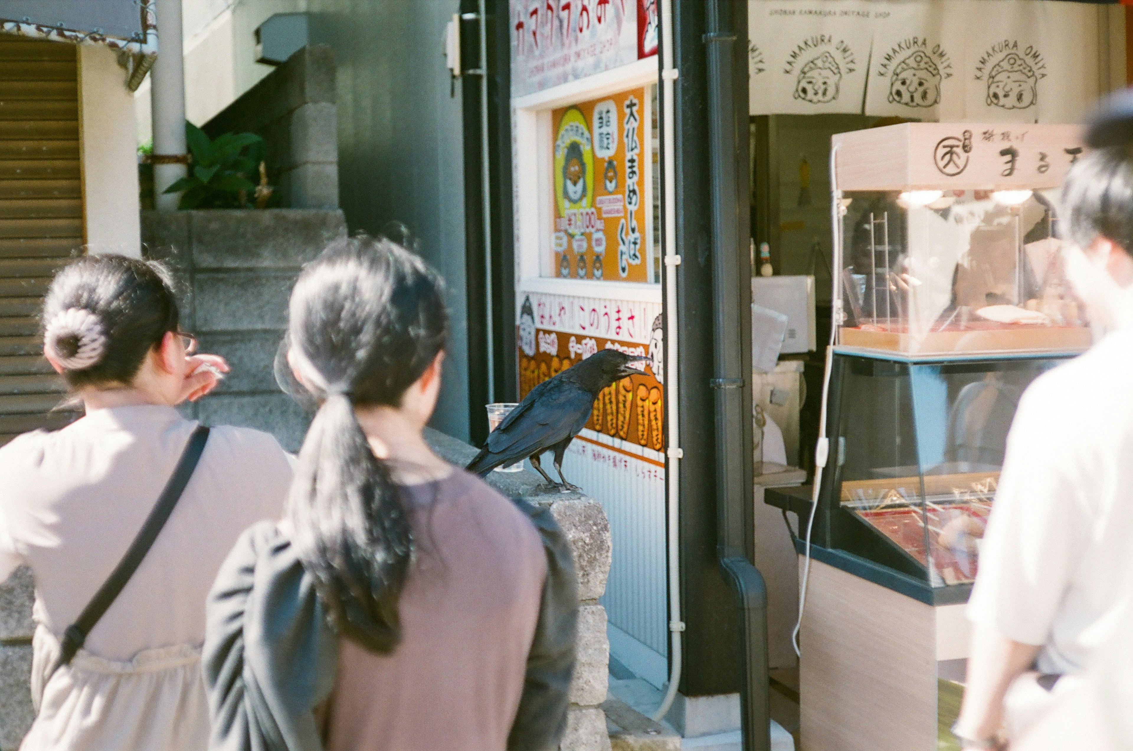 人々が店の前でカラスを見ている風景