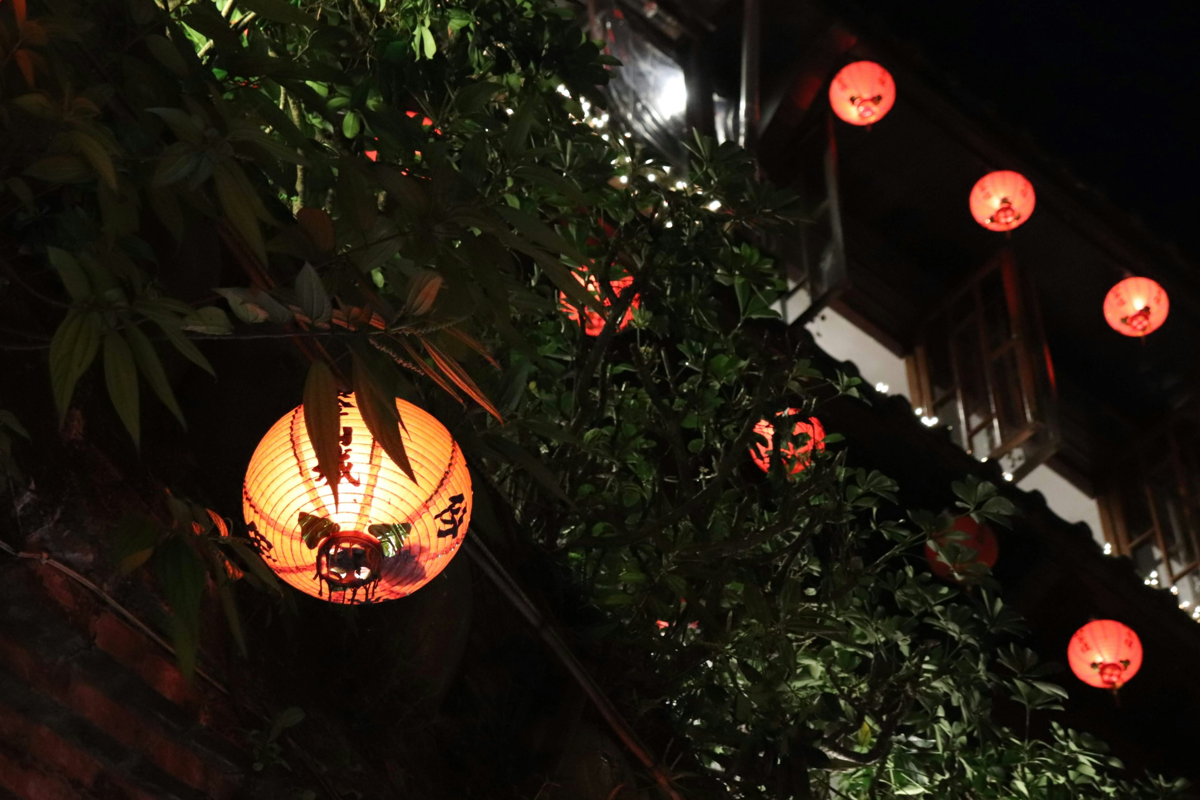 Chinese-style lanterns glowing against a backdrop of greenery at night