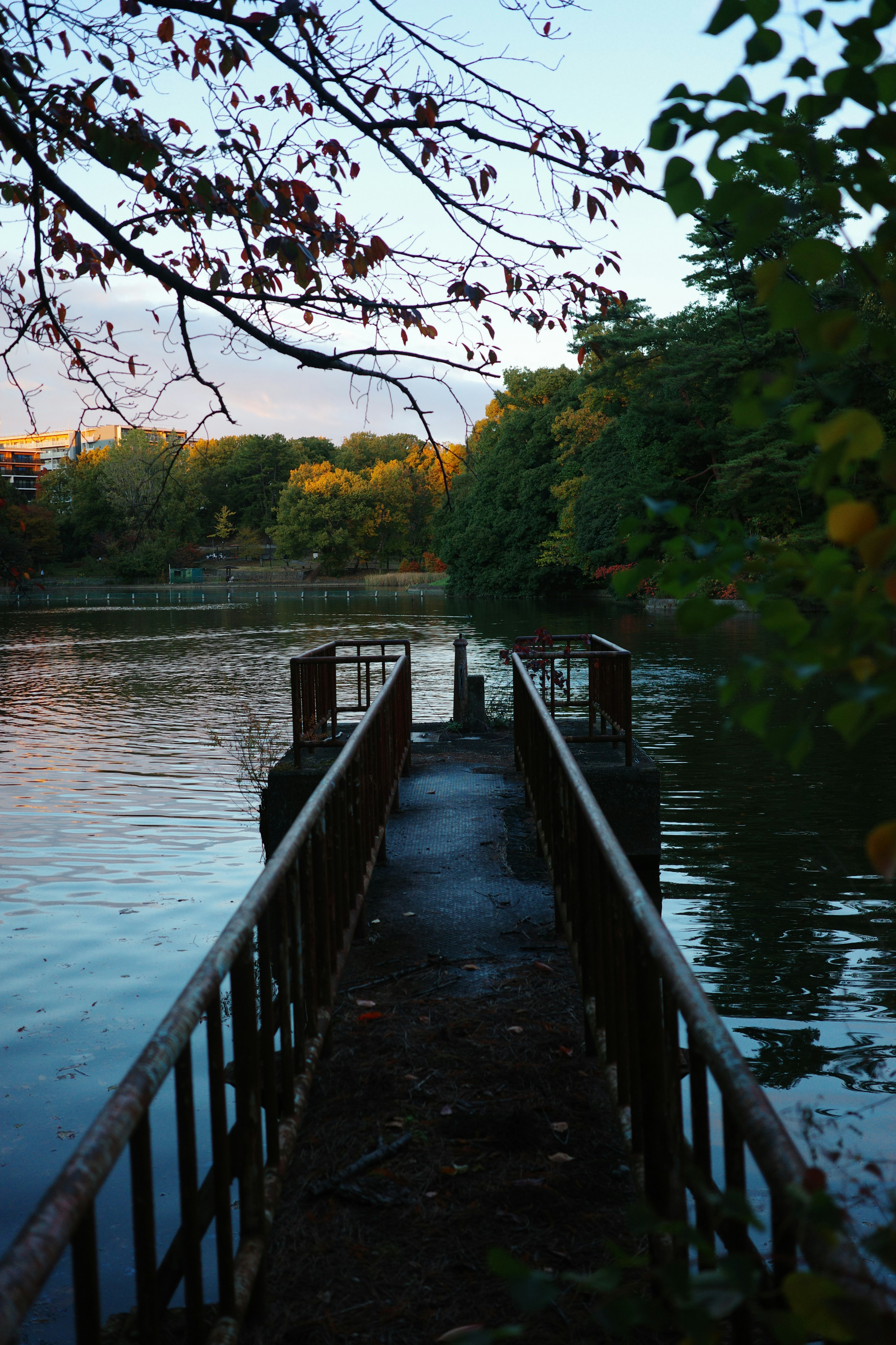 ทิวทัศน์ของท่าเทียบเรือเก่าที่ทอดยาวสู่ทะเลสาบสงบ