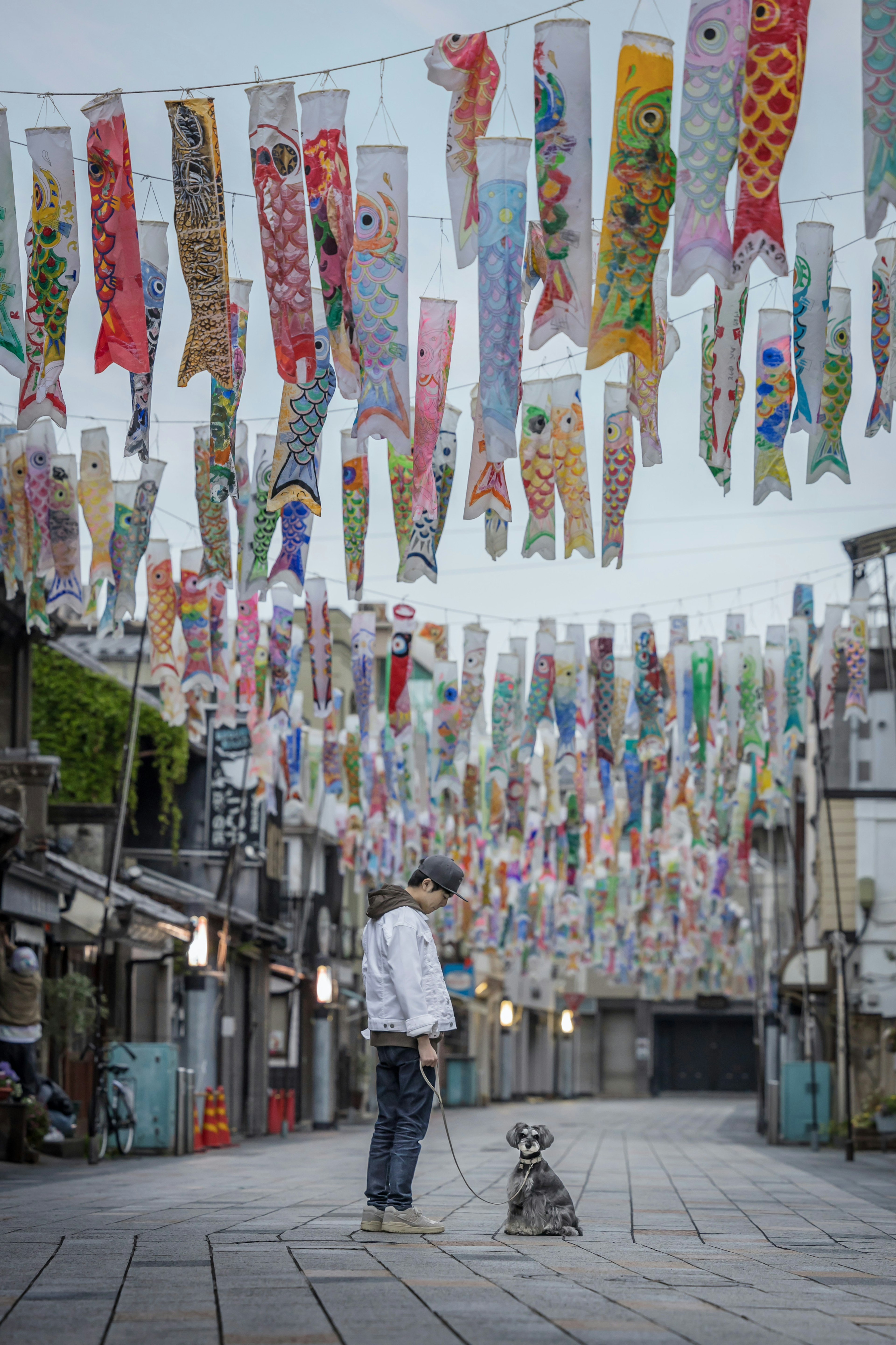 A person standing with a dog in a quiet street adorned with colorful koi nobori banners