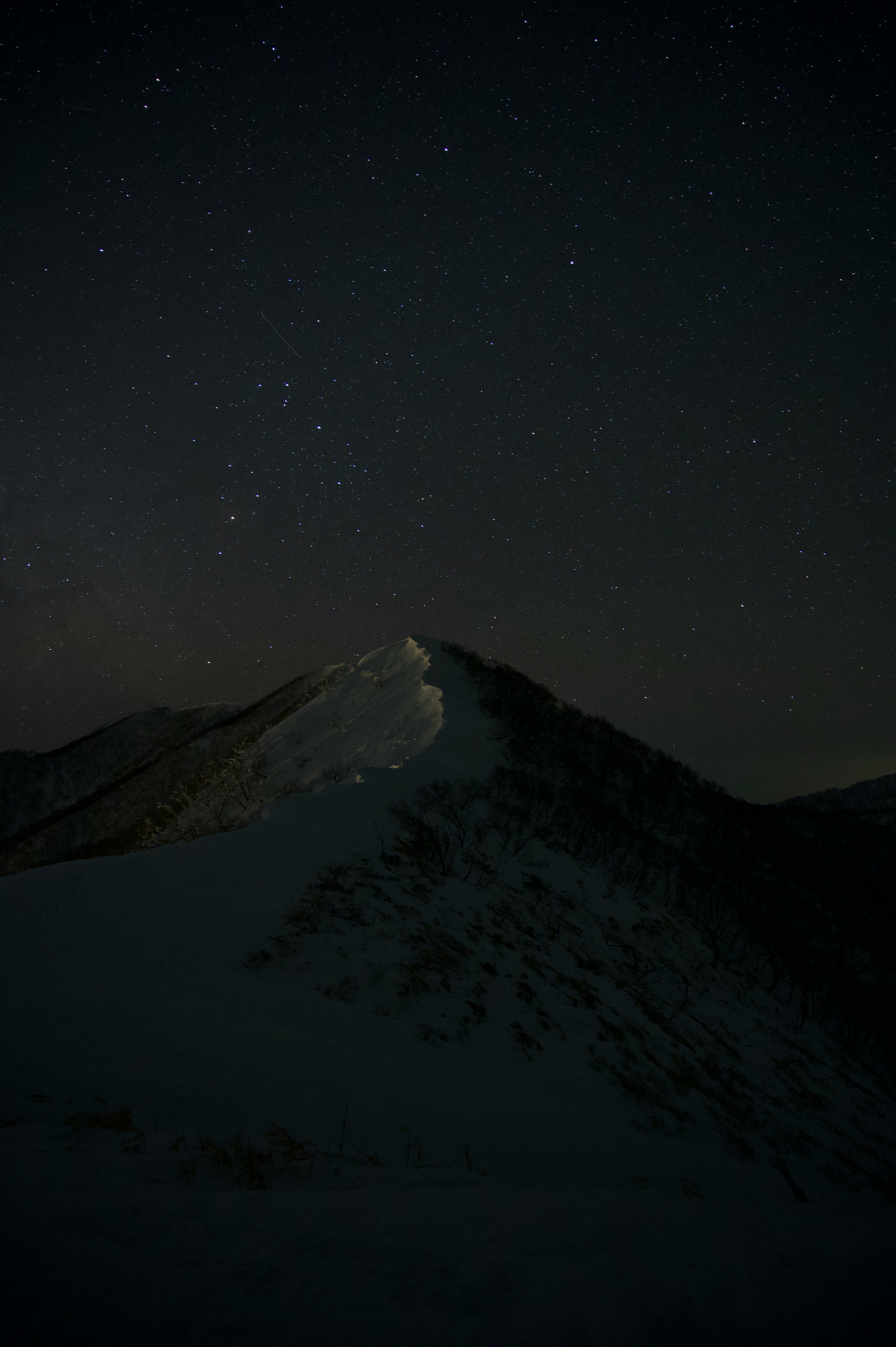 夜空に輝く星々と雪に覆われた山のシルエット