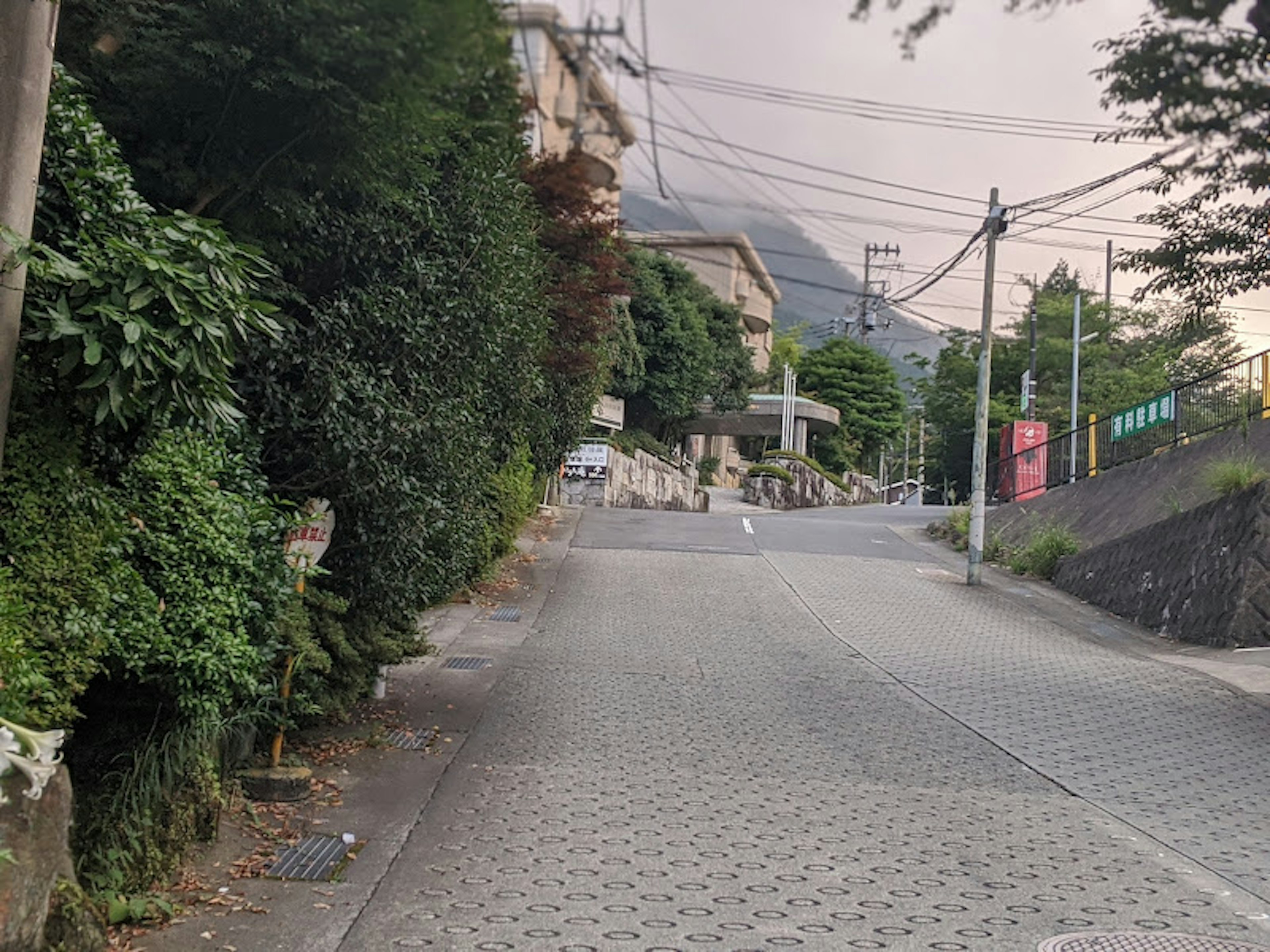 Quiet street scene surrounded by green trees