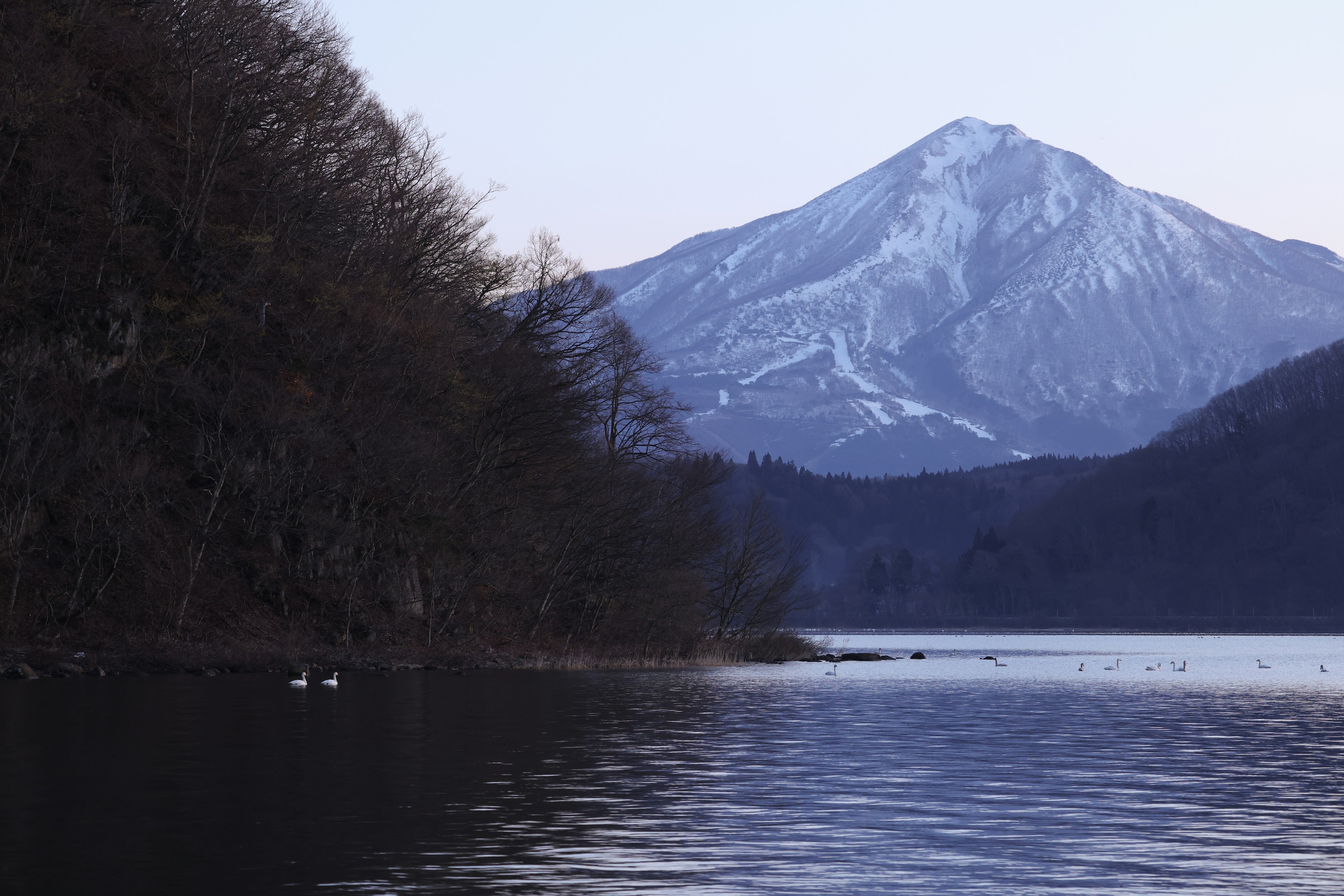 Serene lake scene with snow-capped mountain and swans on the water