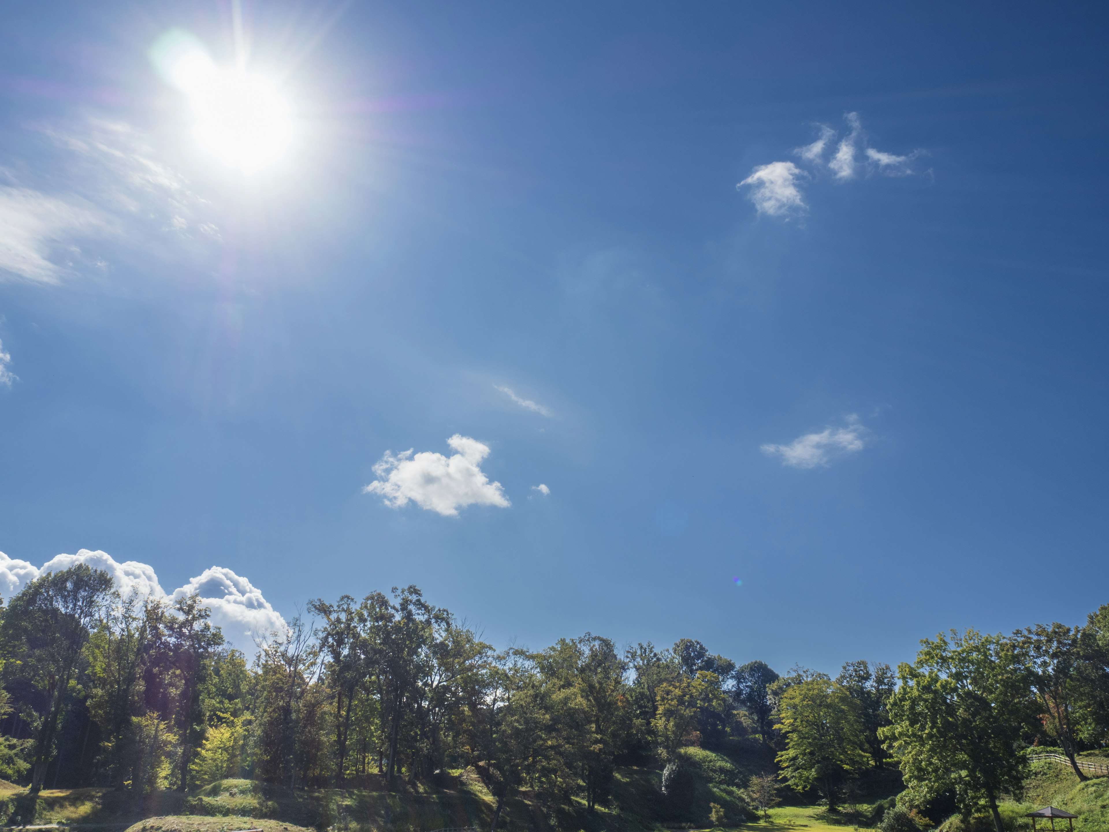 Soleil éclatant sur des arbres verts et un ciel bleu clair