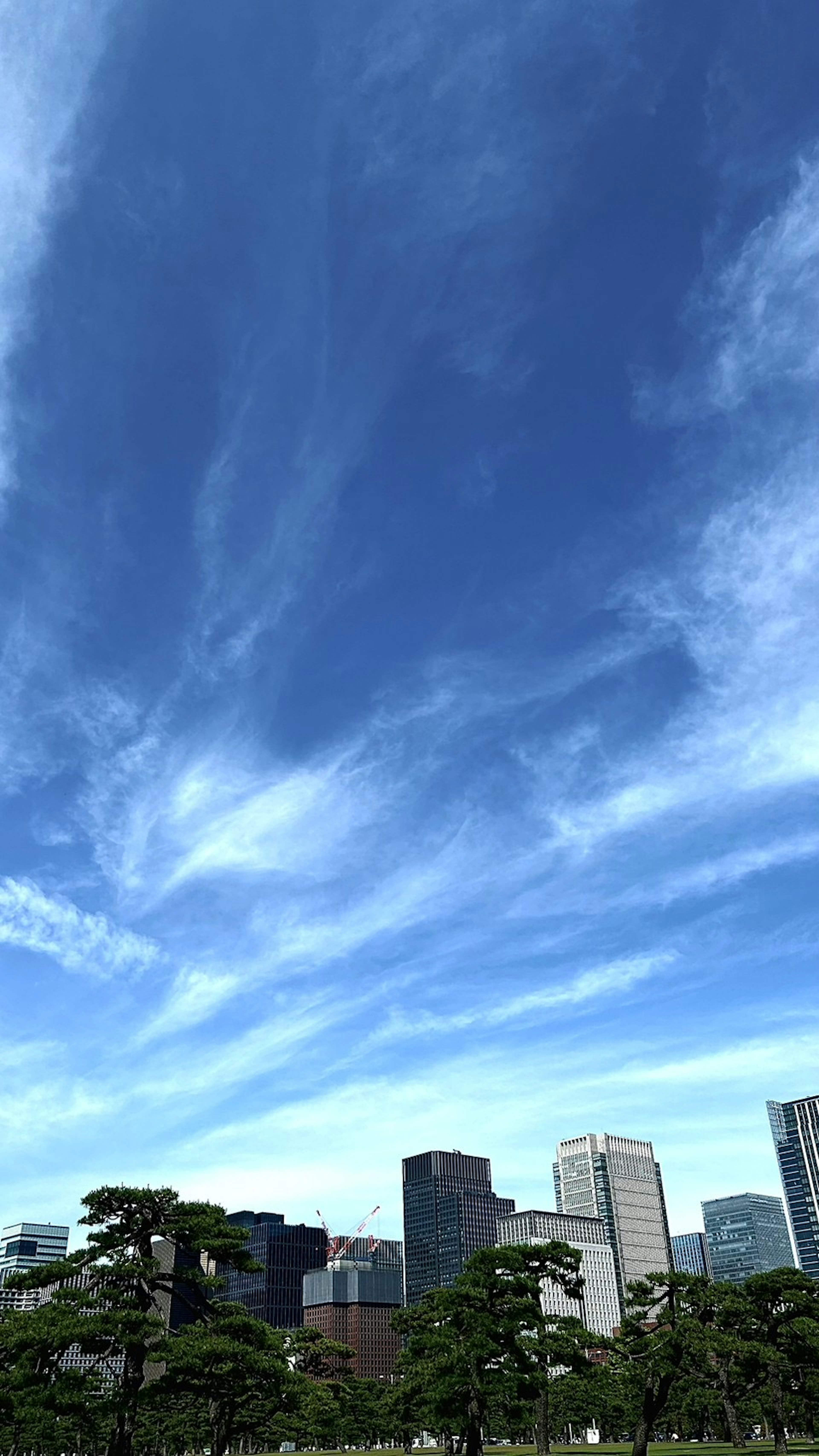 青空と雲が広がる都市の風景