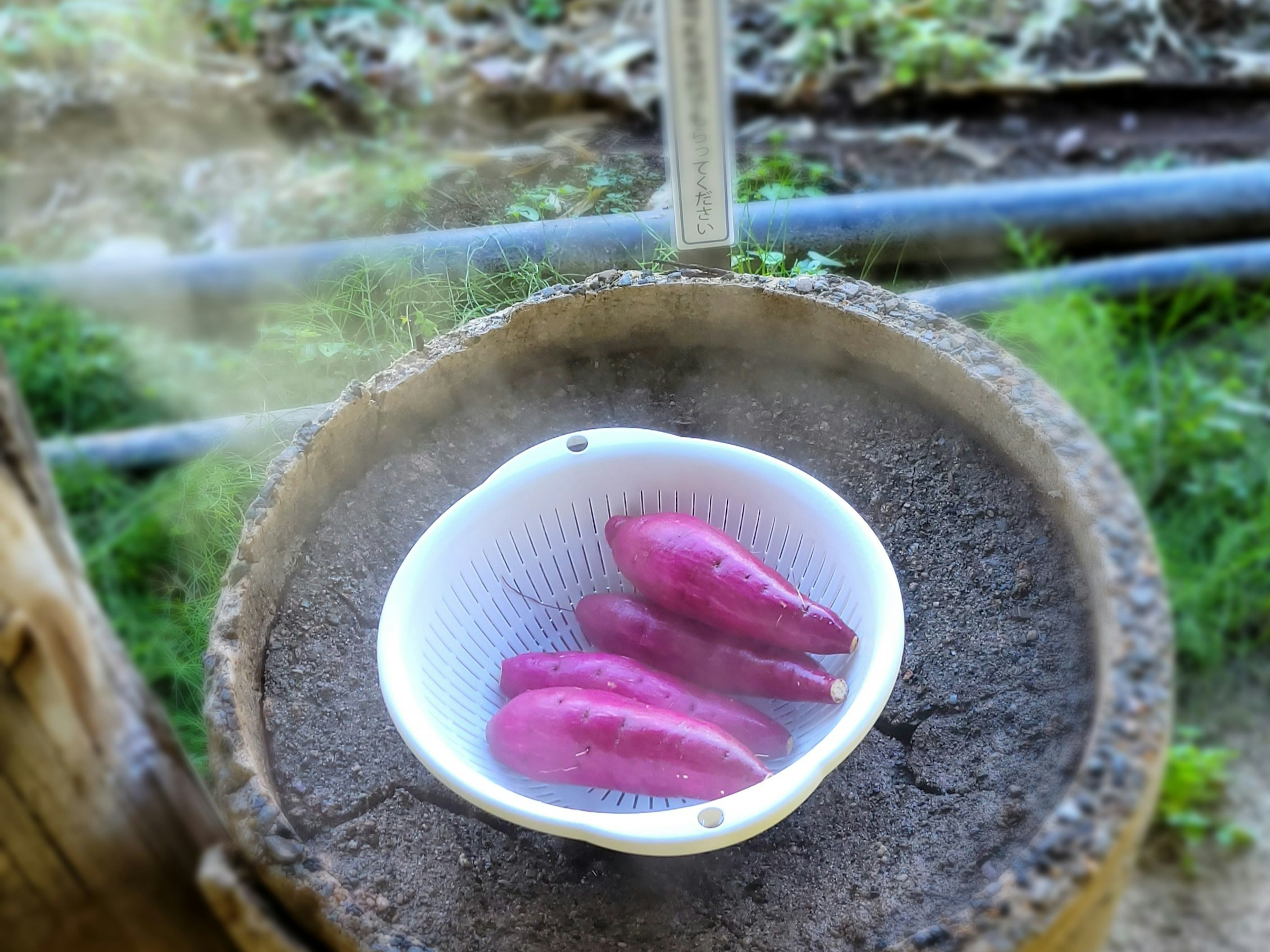 Légumes violets dans un bol blanc avec de la vapeur qui s'élève