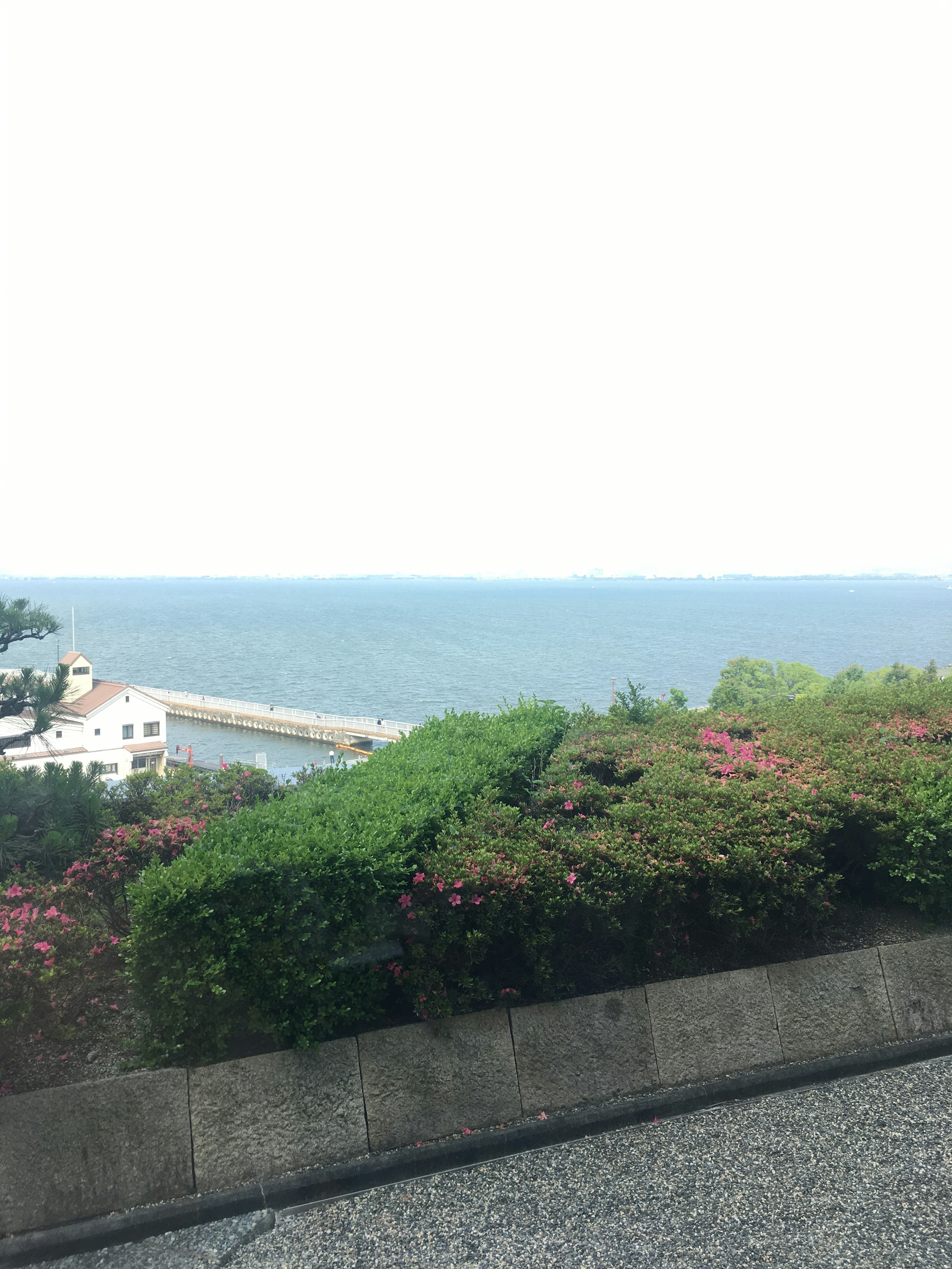 Paesaggio verde lussureggiante con fiori che si affacciano sul mare